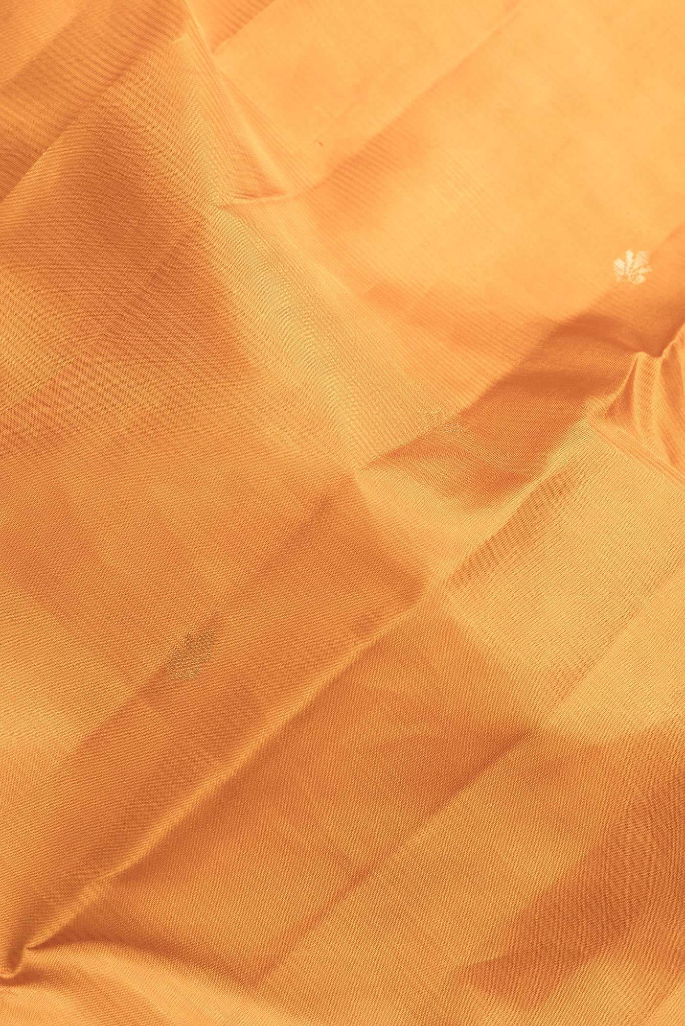 Close up of Mustard Dual Tone Kanjivaram Silk Saree with Zari Butta on the body and Zari Border.  displaying folds