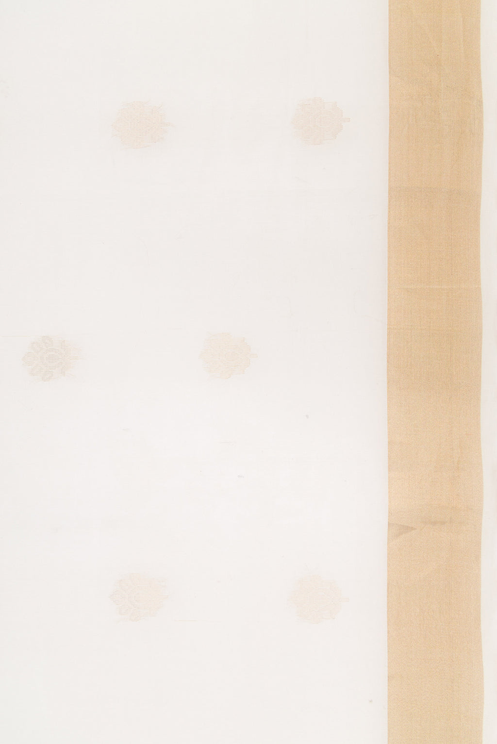 Border image of White Dual Tone Silk Cotton Saree with Zari Butta on the body and Zari Border. 