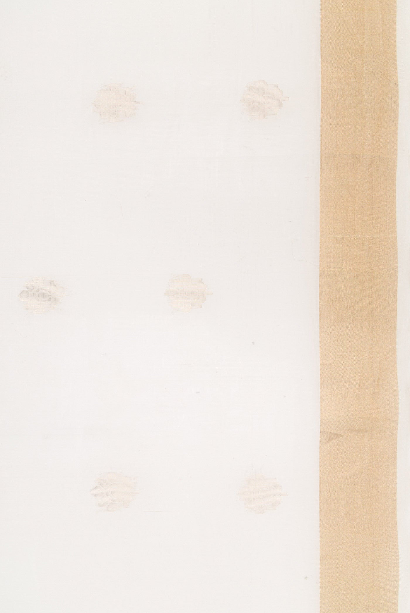 Border image of White Dual Tone Silk Cotton Saree with Zari Butta on the body and Zari Border. 