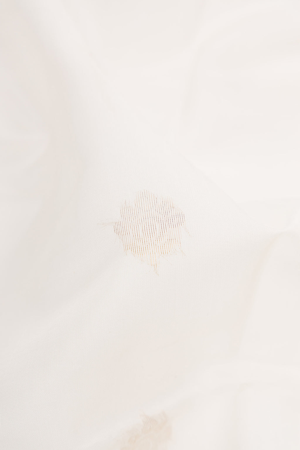 Close up of White Dual Tone Silk Cotton Saree with Zari Butta on the body and Zari Border.  displaying folds