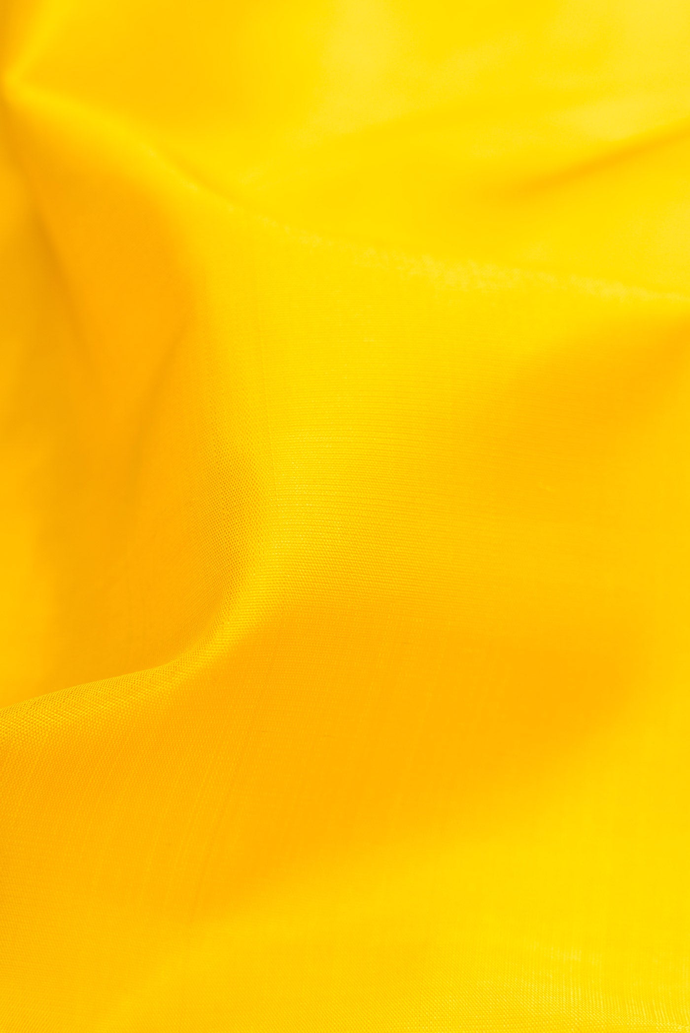 Close up of Yellow Dual Tone Kanjivaram Silk Saree with Plain Body and Zari Border.  displaying folds