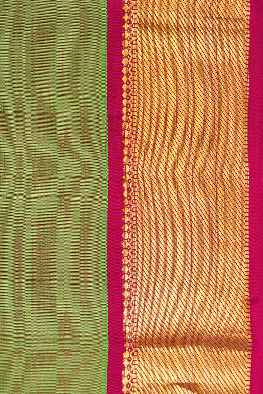 Border image of Green Dual Tone Kanchipuram Silk Saree with Plain Body and Zari Border. 