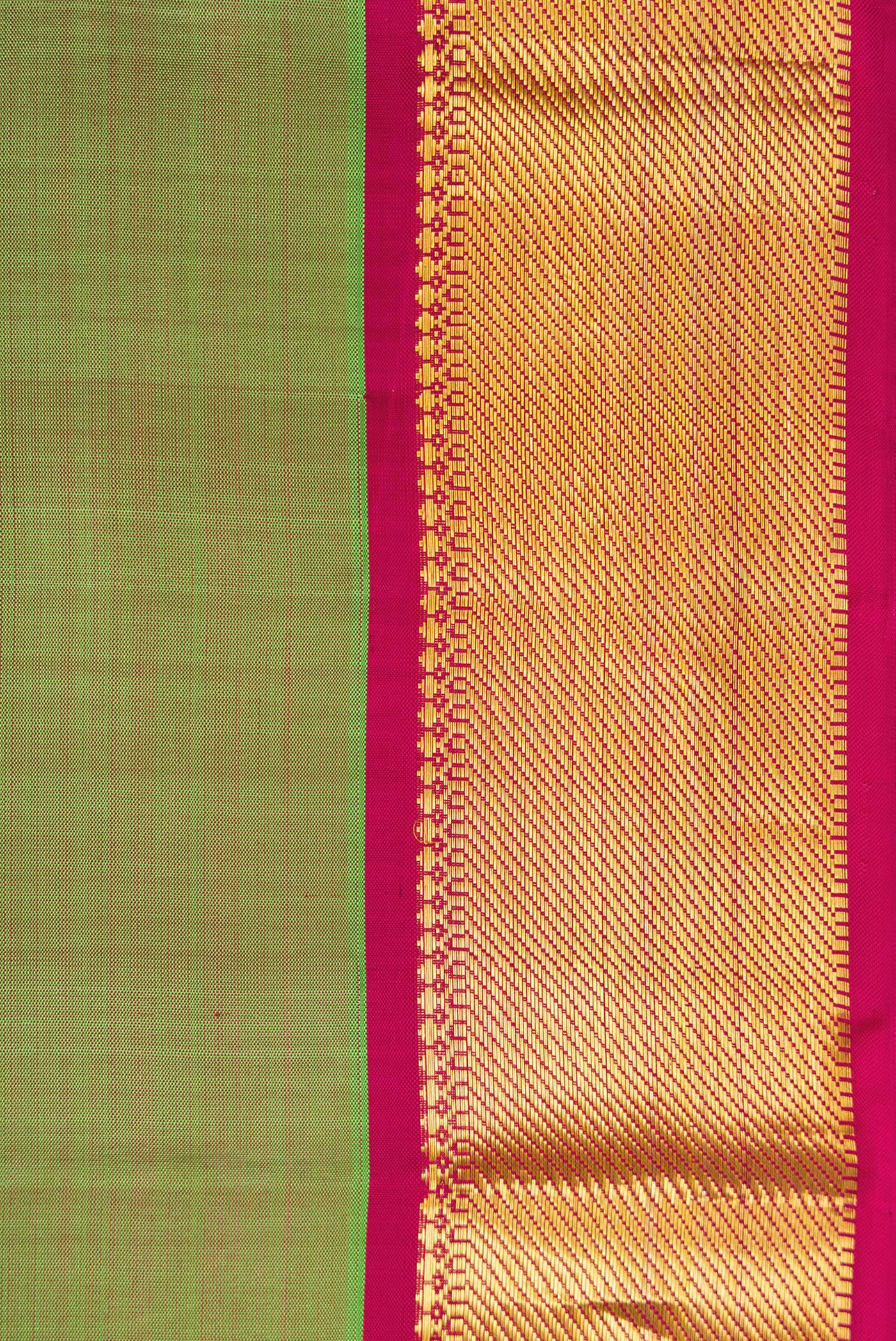 Border image of Green Dual Tone Kanchipuram Silk Saree with Plain Body and Zari Border. 
