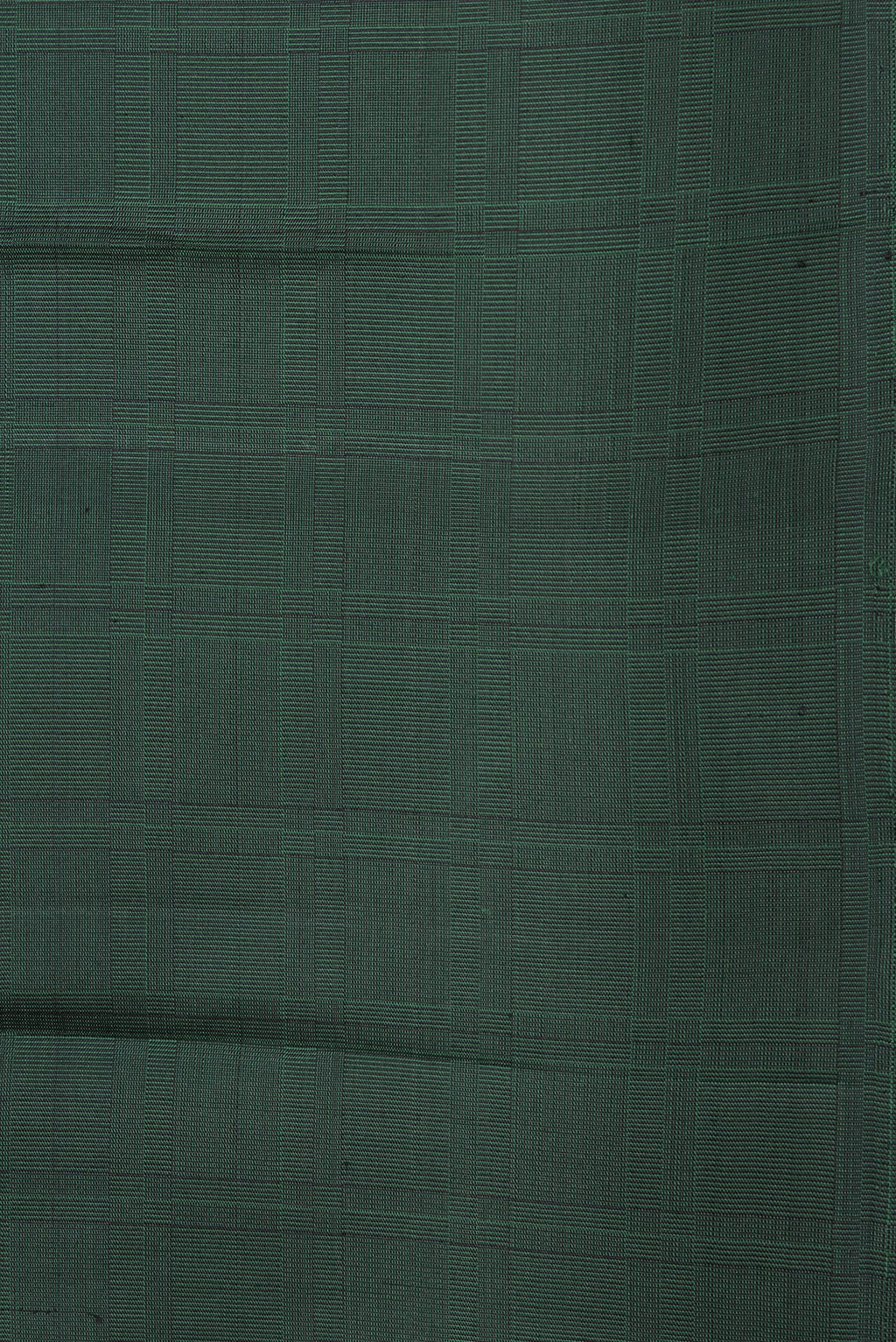 Border image of Bottle Green Dual Tone Kanjivaram Silk Saree with Checked design on the body and Without Border. 