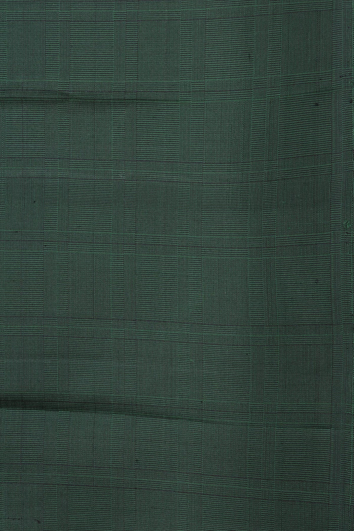Border image of Bottle Green Dual Tone Kanjivaram Silk Saree with Checked design on the body and Without Border. 