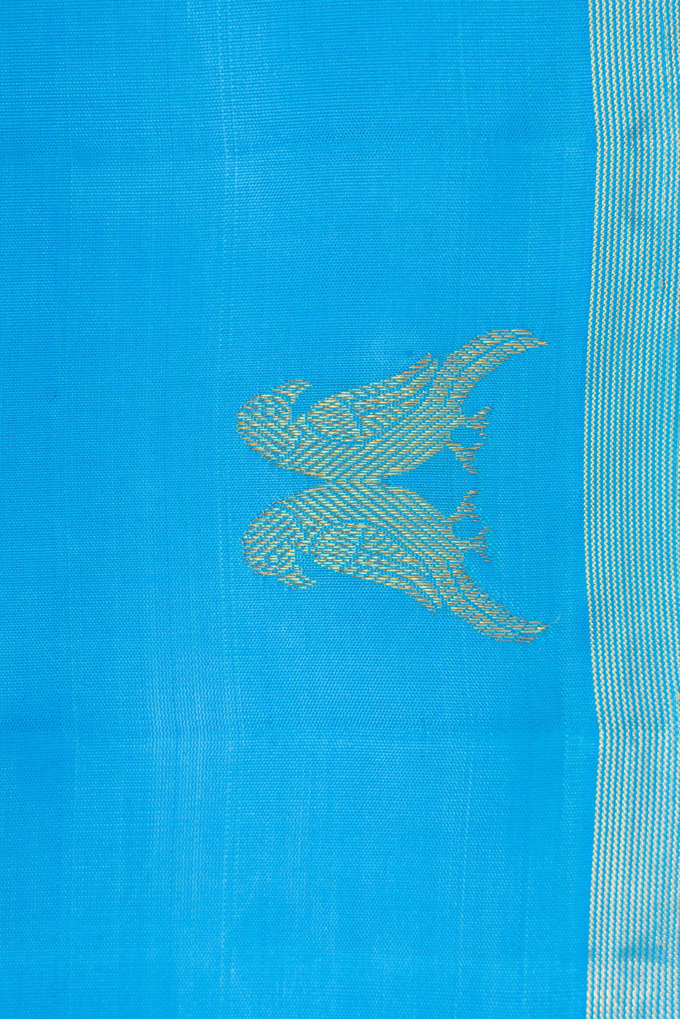 Border image of Sky Blue Dual Tone Kanchipuram Silk Saree with Plain Body and Fancy Border. 