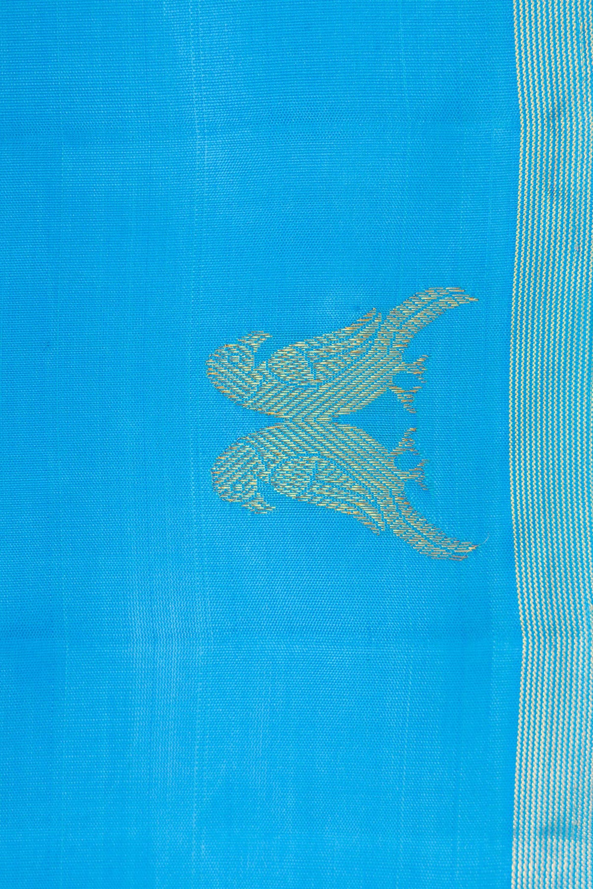 Border image of Sky Blue Dual Tone Kanchipuram Silk Saree with Plain Body and Fancy Border. 