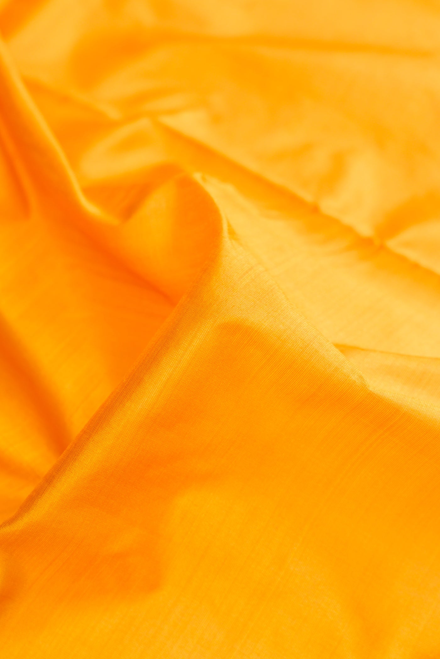 Close up of Mustard Dual Tone Kanchipuram Silk Nine Yards Saree with Plain Body and Zari Border.  displaying folds