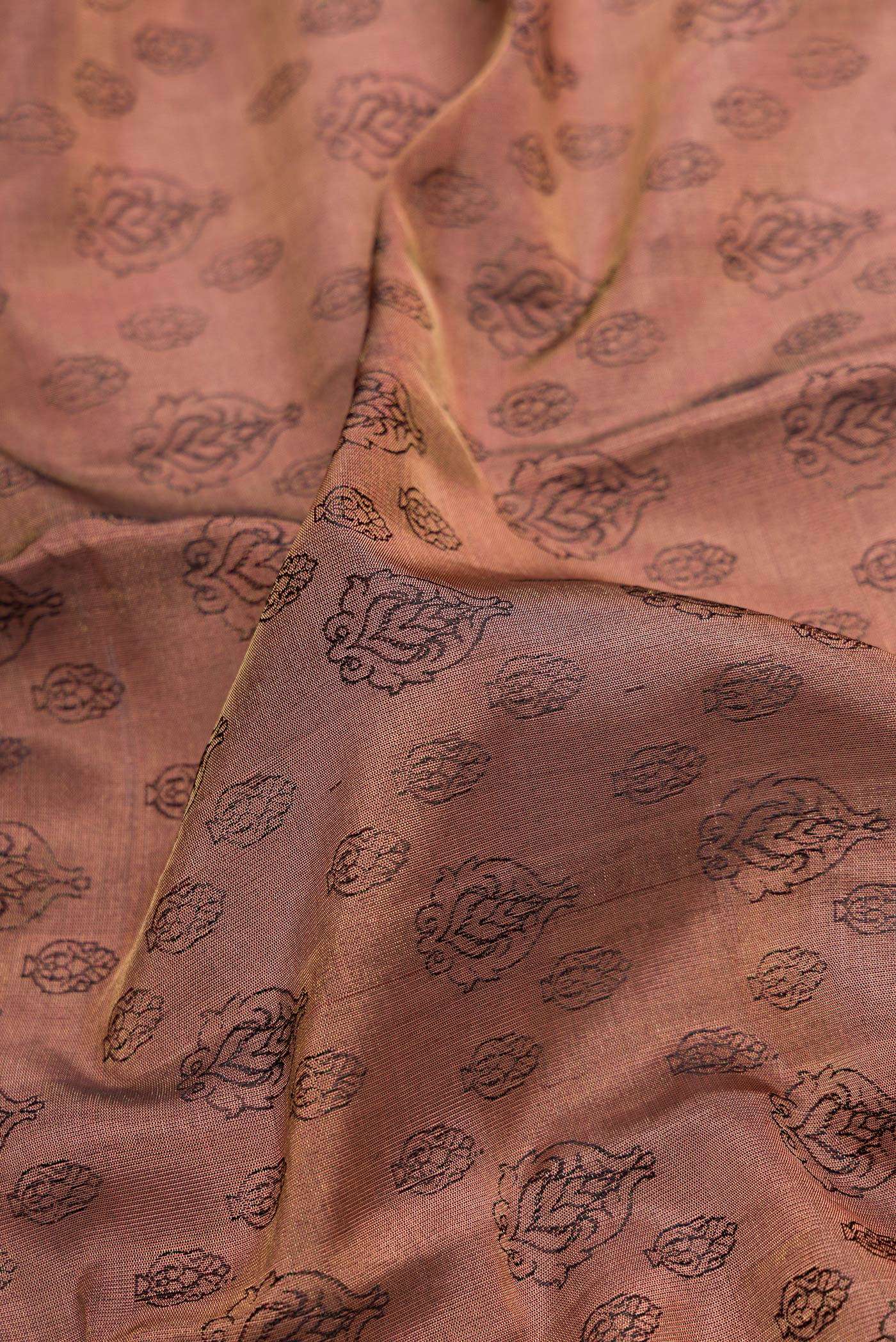 Close up of Brown Dual Tone Kanchipuram Tissue Silk Saree with Zari Brocade on the body and Zari Border.  displaying folds