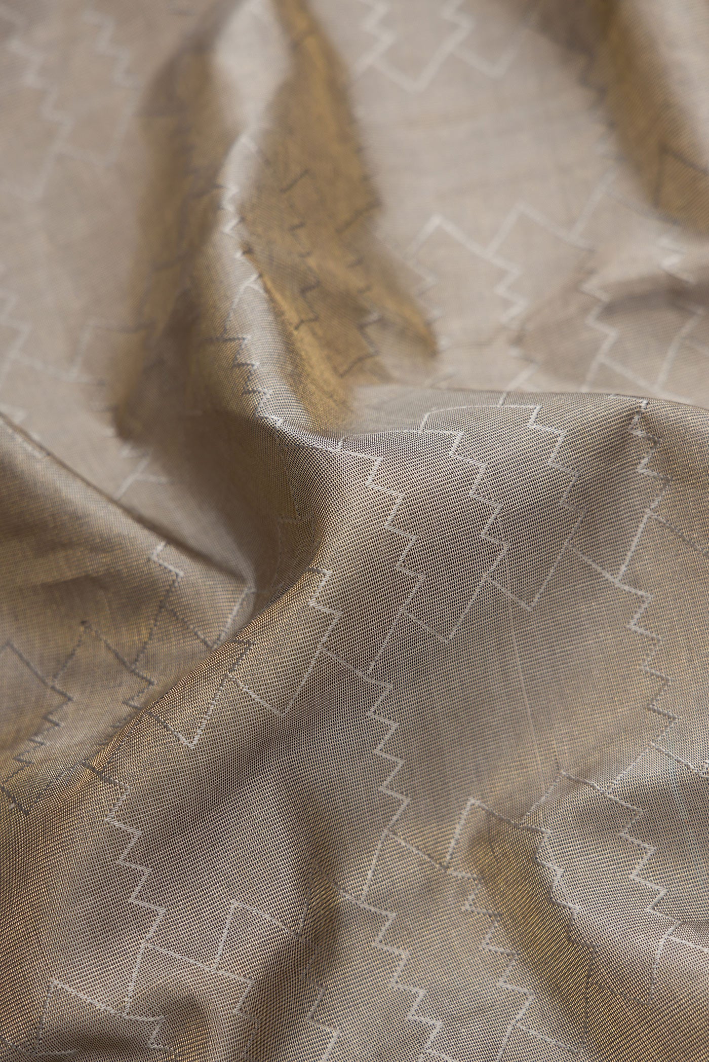 Close up of Grey Dual Tone Kanchipuram Tissue Silk Saree with Zari Brocade on the body and Zari Border.  displaying folds