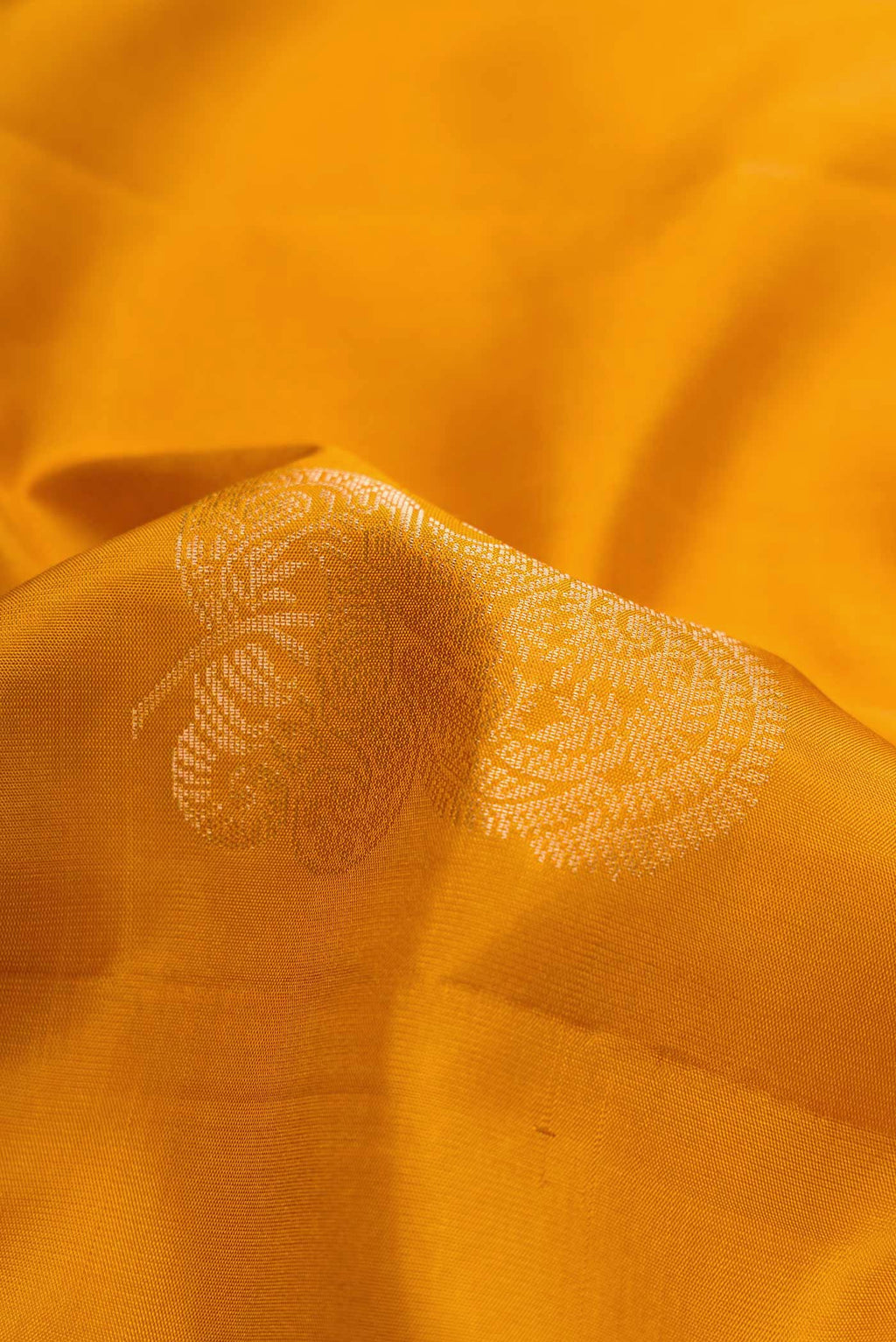 Close up of Mustard Dual Tone Soft Silk Saree with Zari Butta on the body and Without Border.  displaying folds