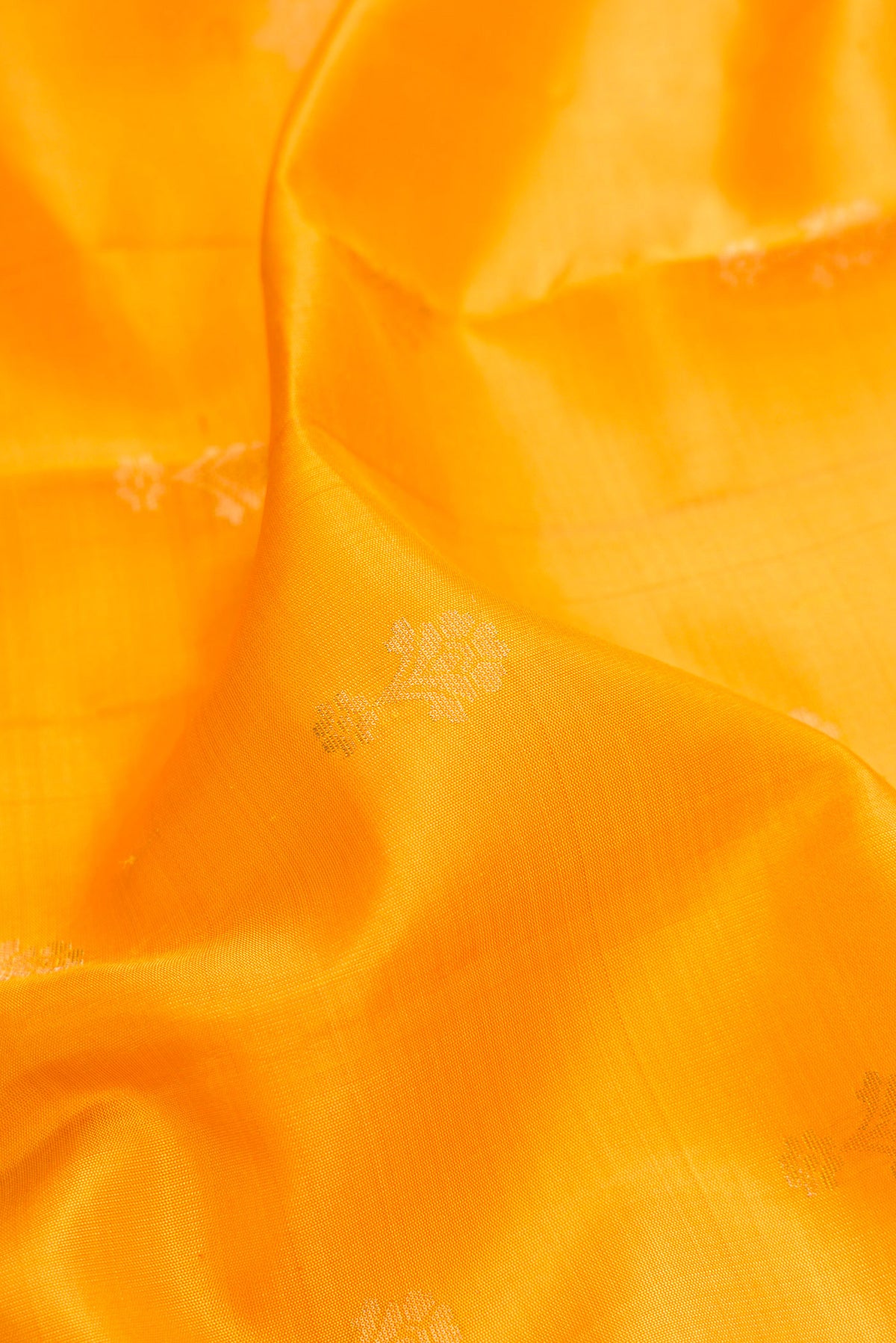 Close up of Mustard Dual Tone Soft Silk Saree with Zari Butta on the body and Zari Border.  displaying folds