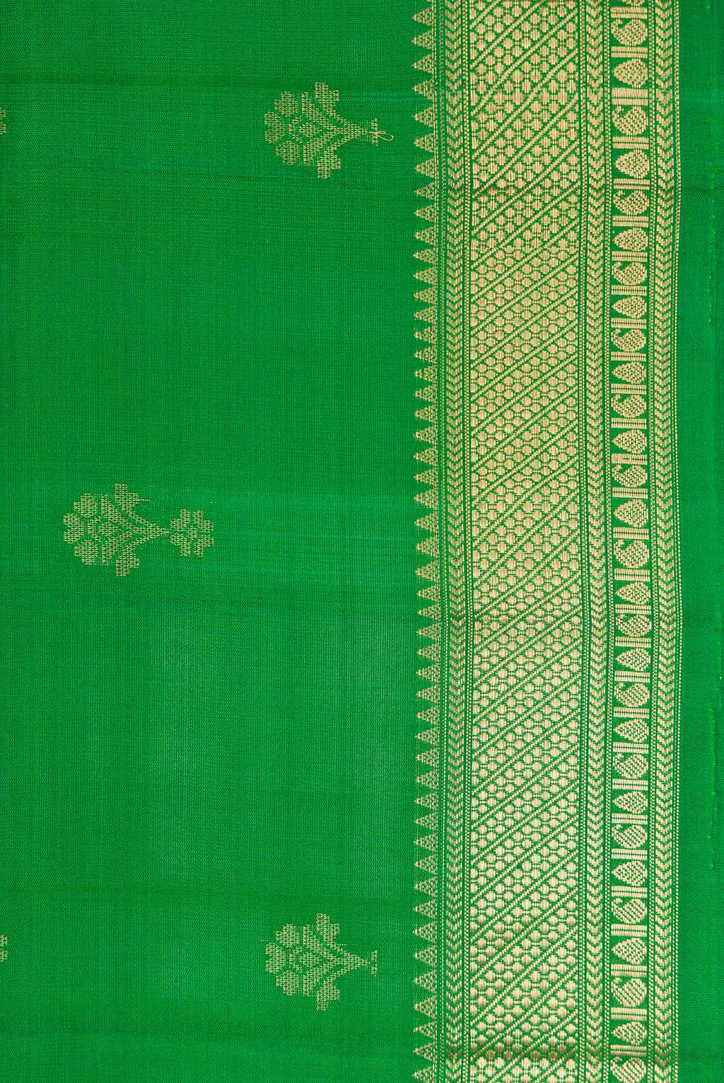 Border image of Green Dual Tone Soft Silk Saree with Zari Butta on the body and Zari Border. 
