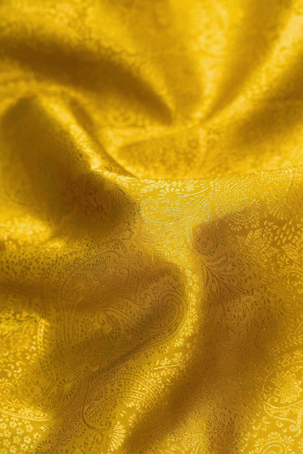 Close up of Mehandi Green Dual Tone Kanchipuram Silk Saree with Zari Brocade on the body and Zari Border.  displaying folds