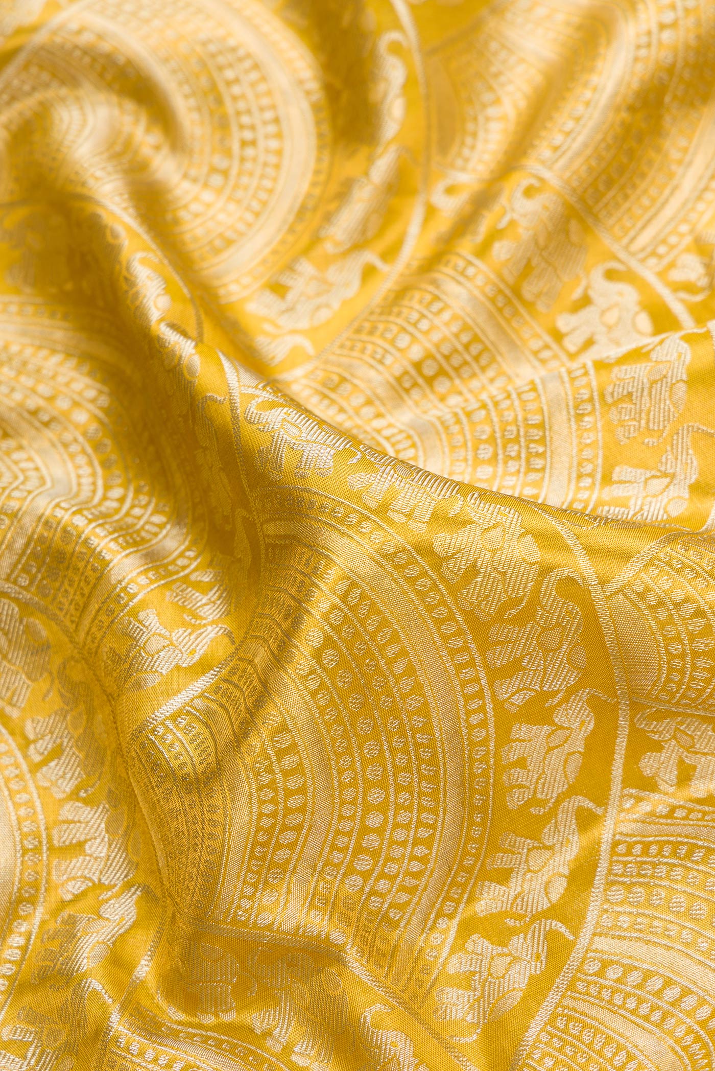 Close up of Gold Dual Tone Kanchipuram Tissue Silk Saree with Zari Brocade on the body and Zari Border.  displaying folds