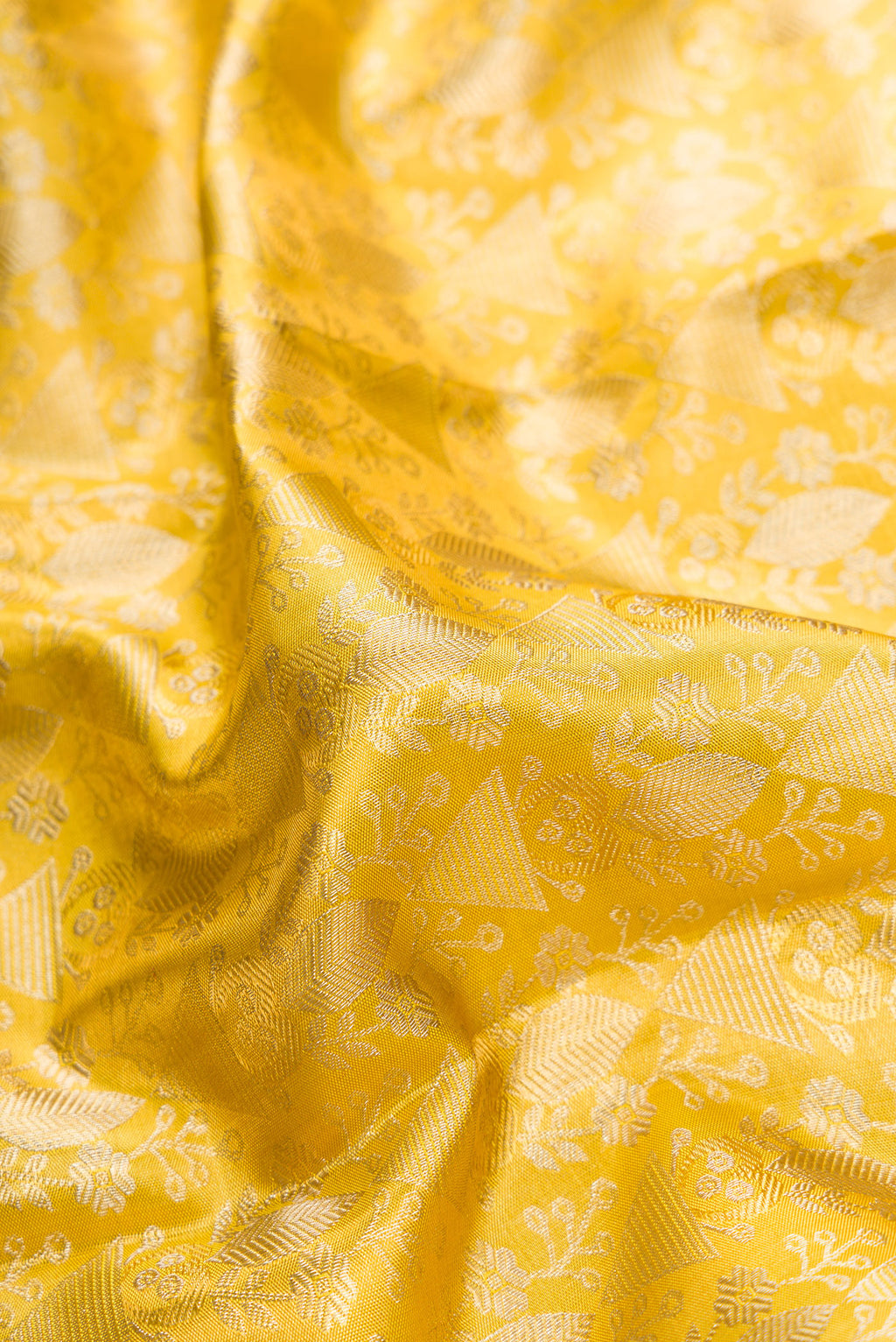 Close up of Gold Dual Tone Kanjivaram Tissue Silk Saree with Zari Brocade on the body and Zari Border.  displaying folds