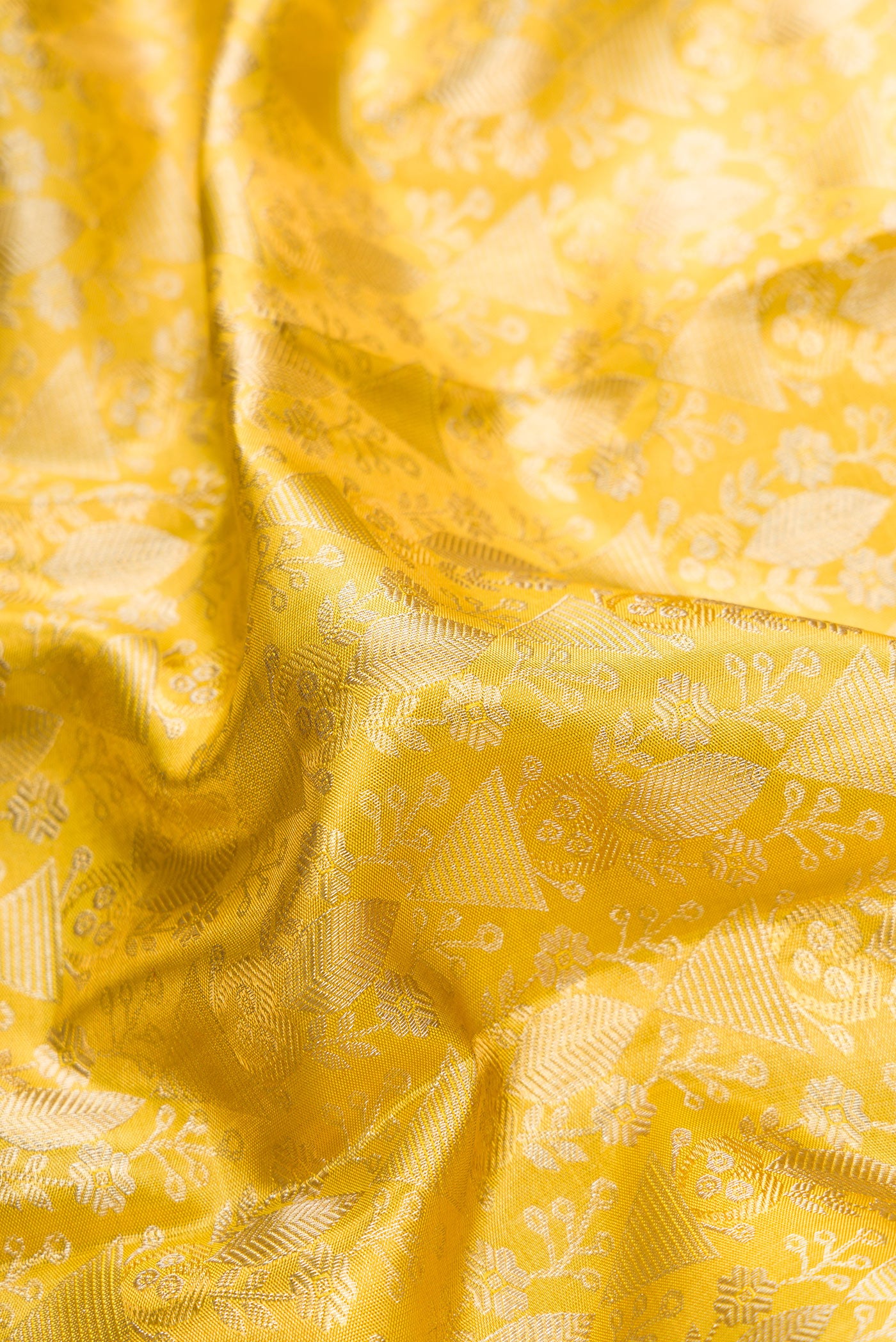 Close up of Gold Dual Tone Kanjivaram Tissue Silk Saree with Zari Brocade on the body and Zari Border.  displaying folds