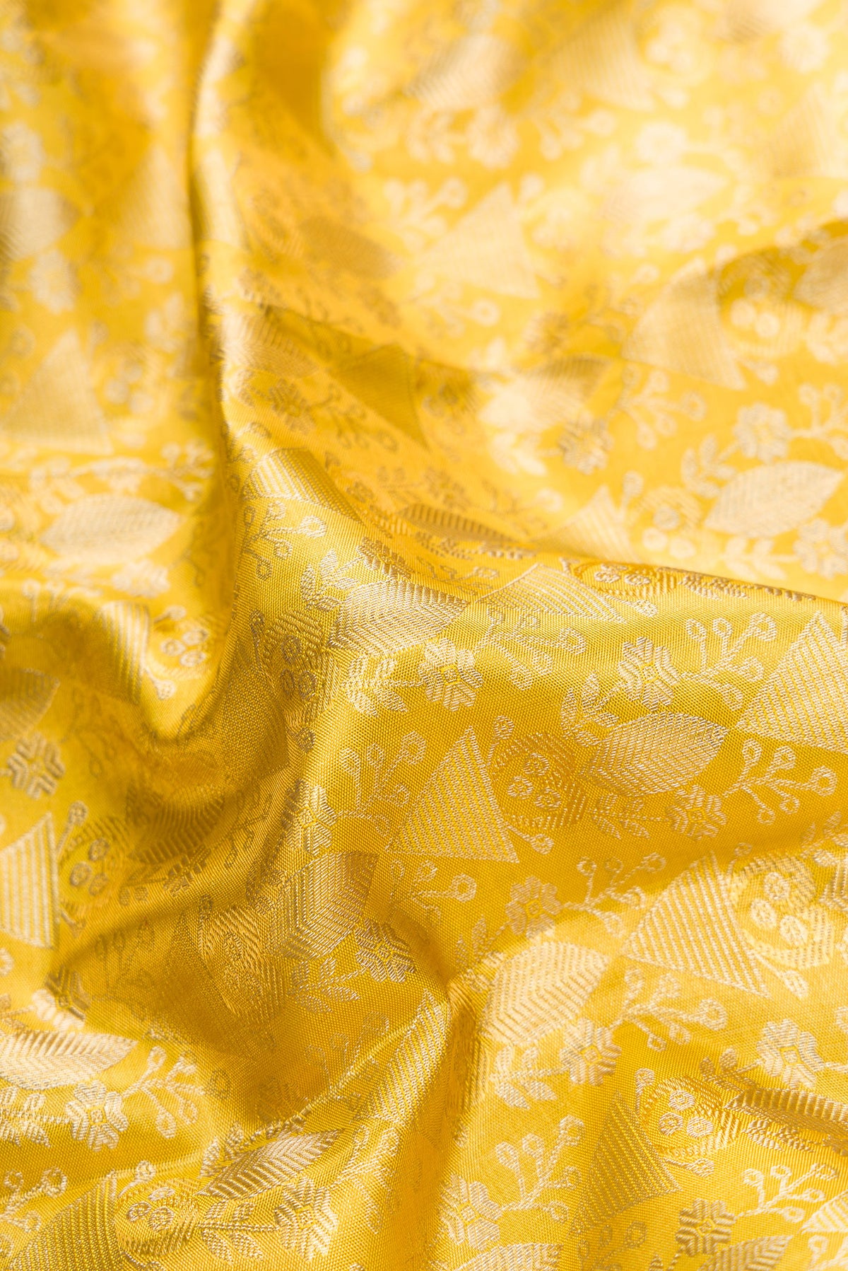 Close up of Gold Dual Tone Kanjivaram Tissue Silk Saree with Zari Brocade on the body and Zari Border.  displaying folds