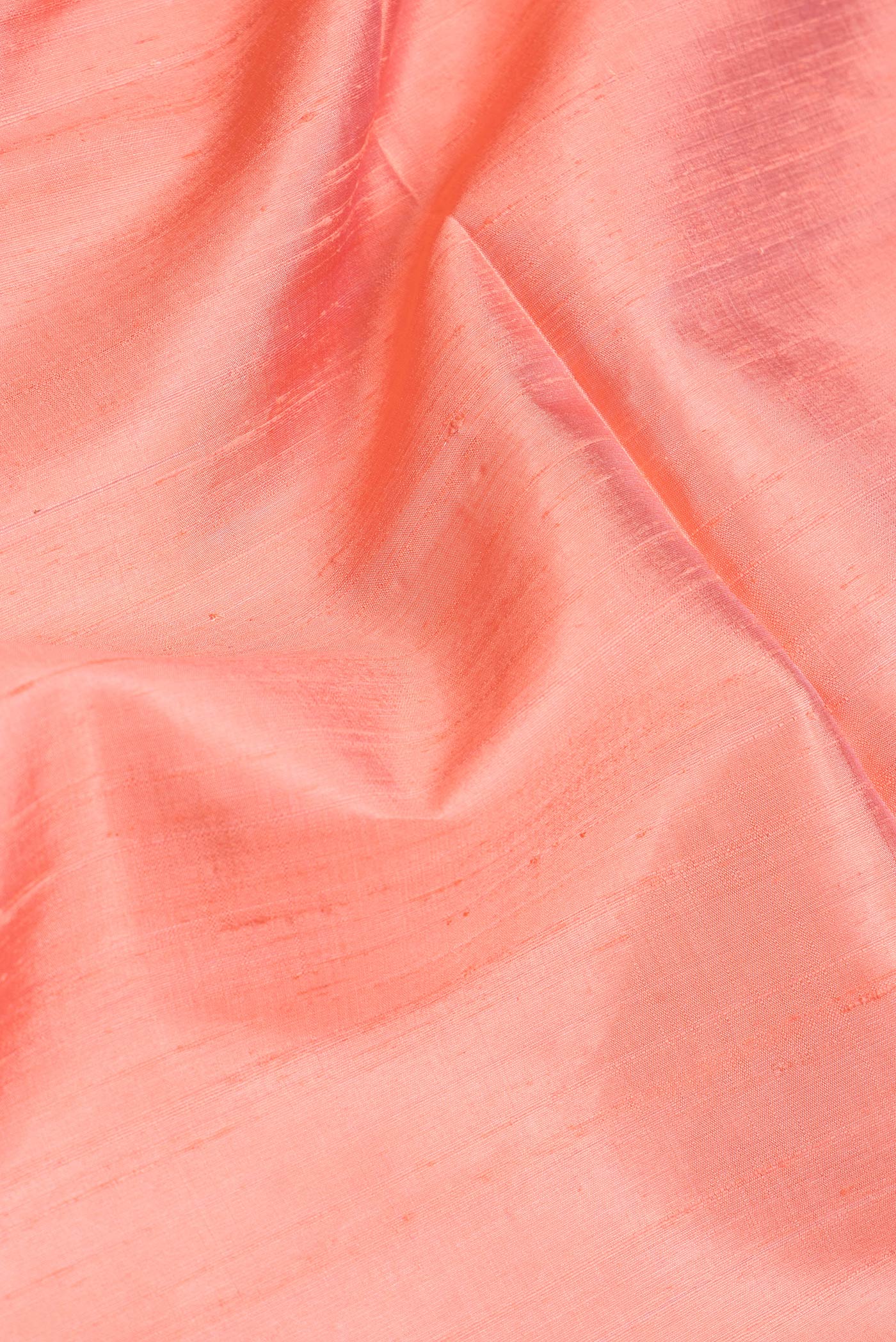 Close up of Golden Peach Dual Tone Raw Silk Saree with Plain Body and Zari Border.  displaying folds