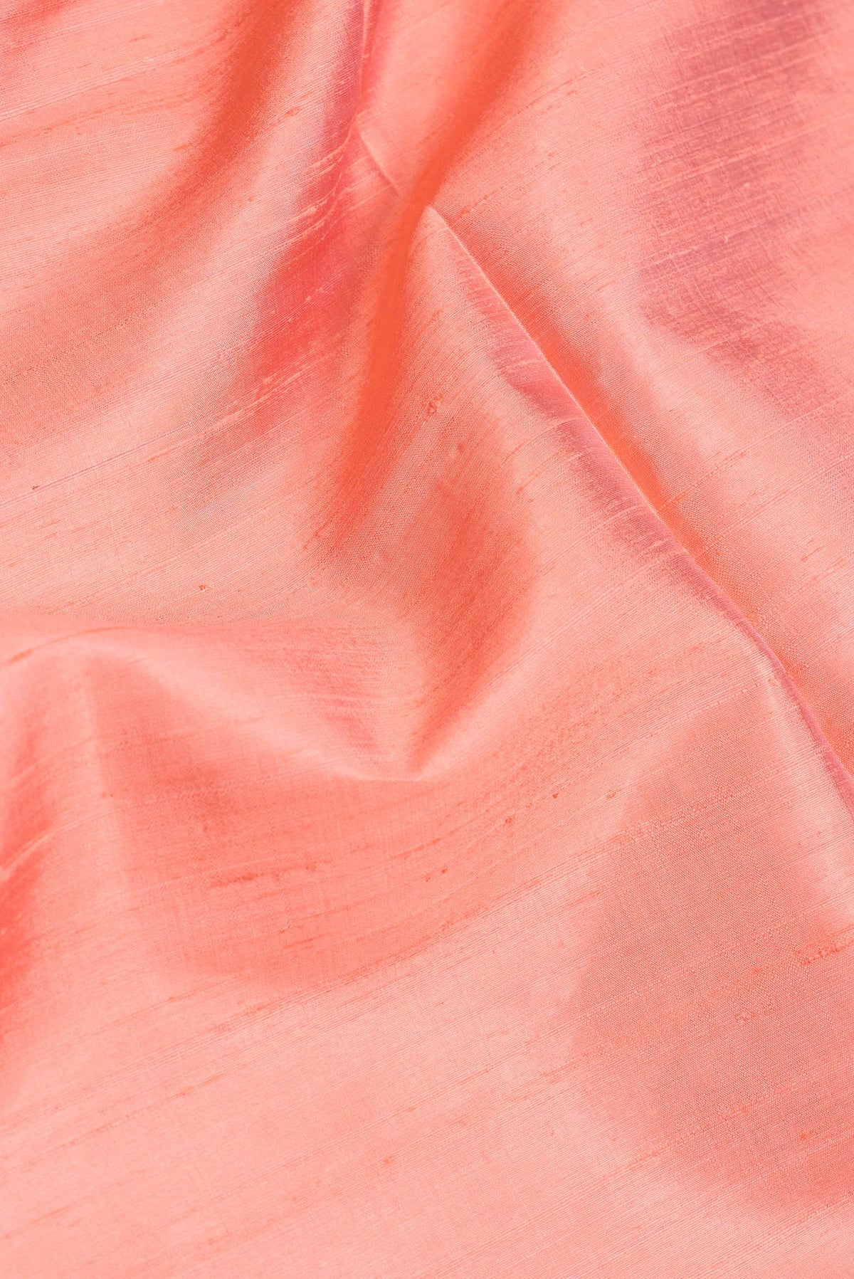 Close up of Golden Peach Dual Tone Raw Silk Saree with Plain Body and Zari Border.  displaying folds