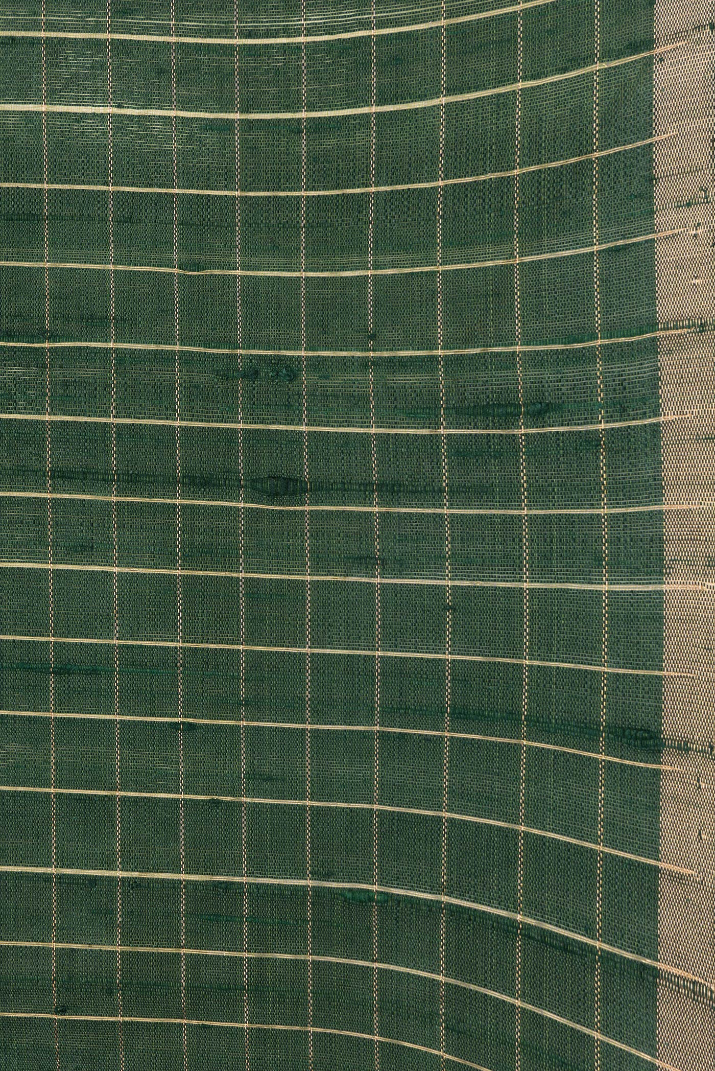 Border image of Bottle Green Dual Tone Raw Silk Saree with Checked design on the body and Zari Border. 