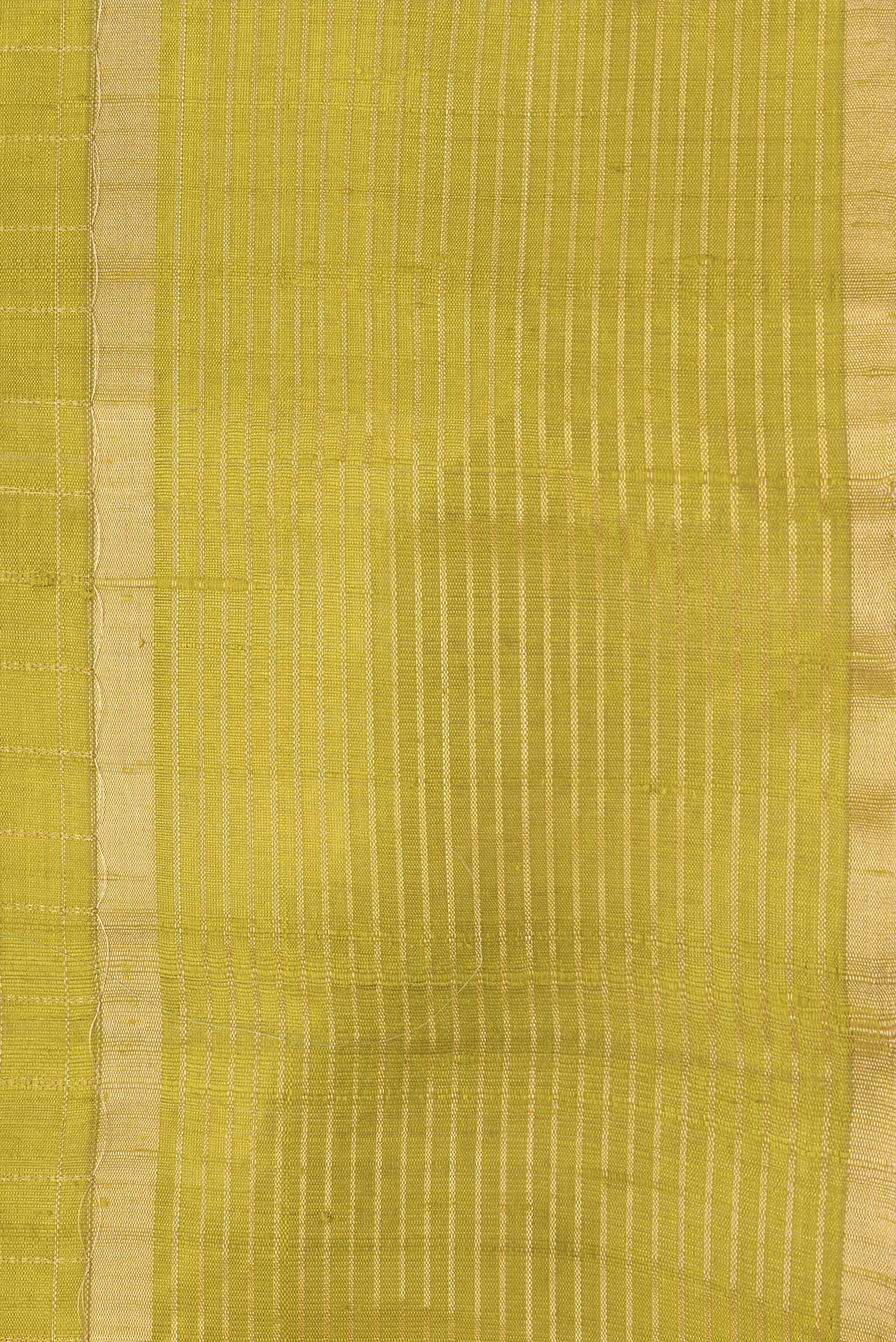 Border image of Parrot Green Dual Tone Raw Silk Saree with Checked design on the body and Zari Border. 