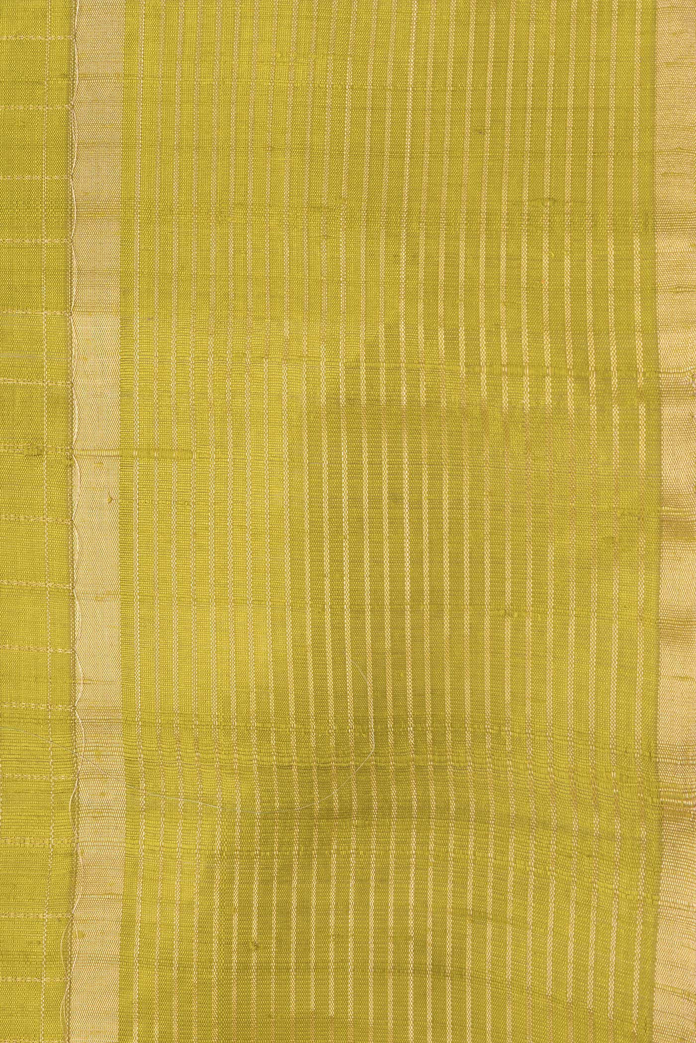 Border image of Parrot Green Dual Tone Raw Silk Saree with Checked design on the body and Zari Border. 