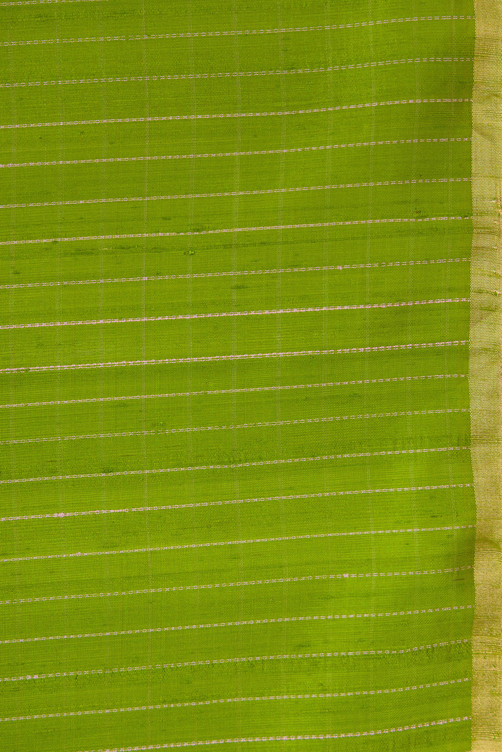 Border image of Parrot Green Dual Tone Raw Silk Saree with Zari Butta on the body and Zari Border. 