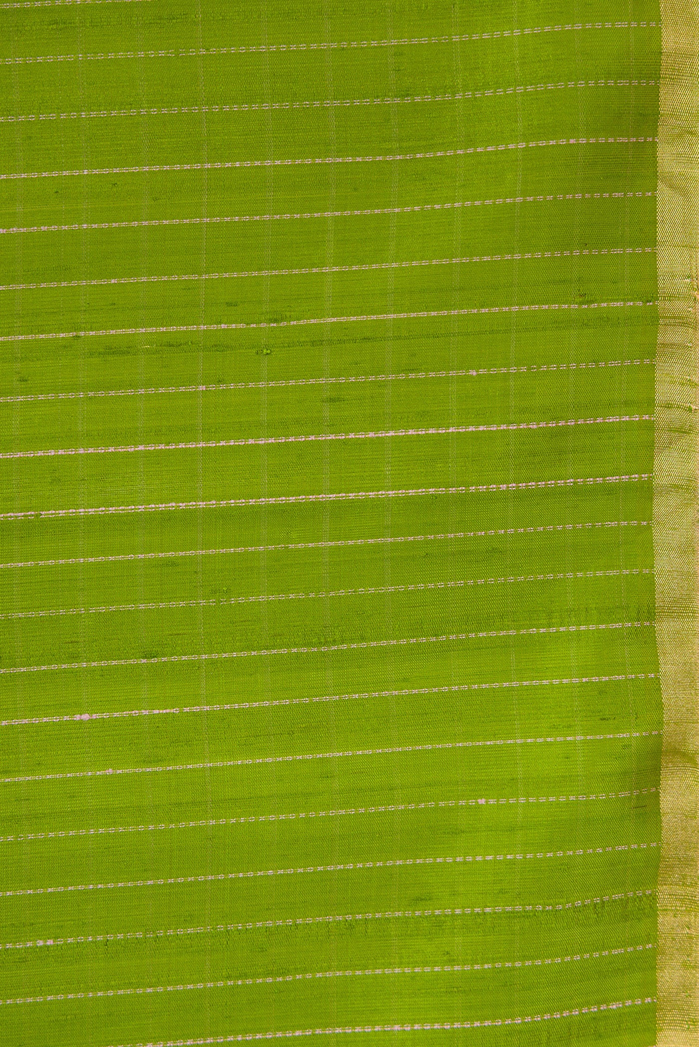 Border image of Parrot Green Dual Tone Raw Silk Saree with Zari Butta on the body and Zari Border. 