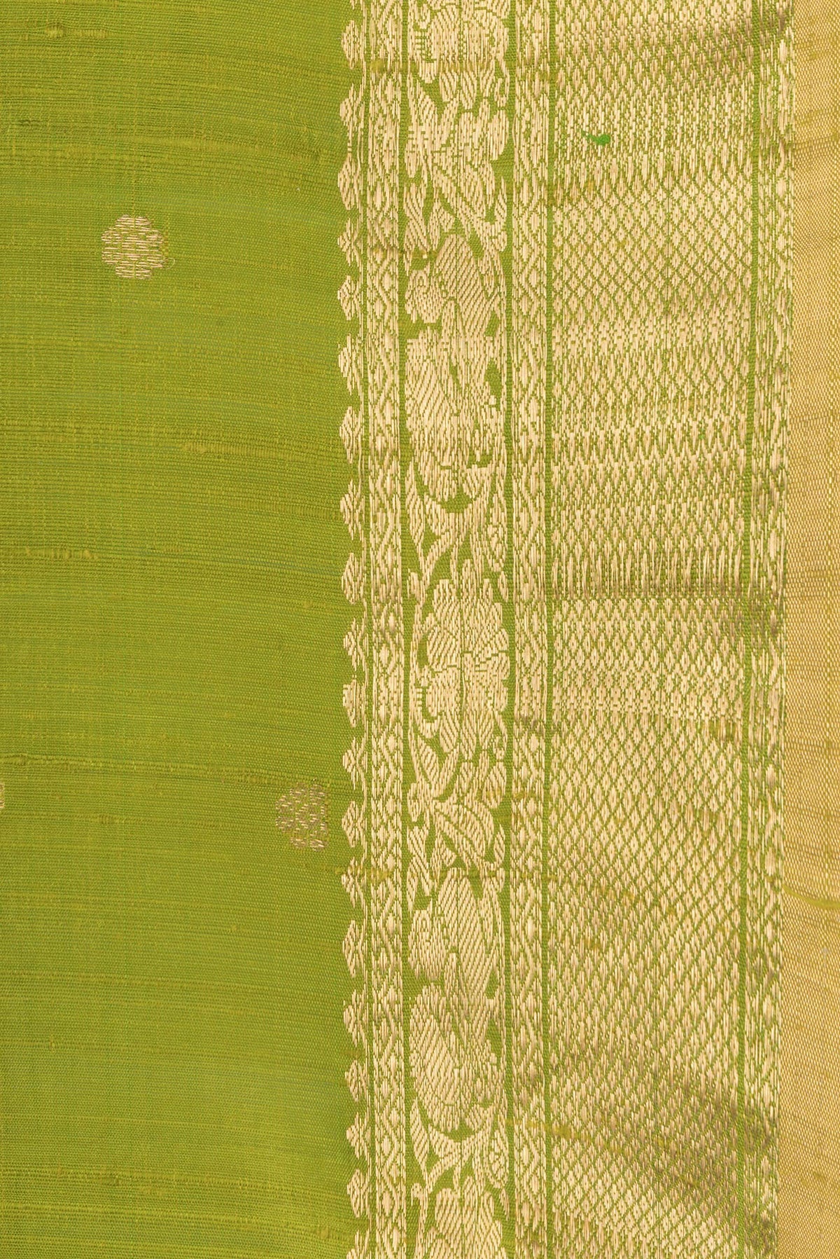 Border image of Parrot Green Dual Tone Raw Silk Saree with Zari Butta on the body and Zari Border. 