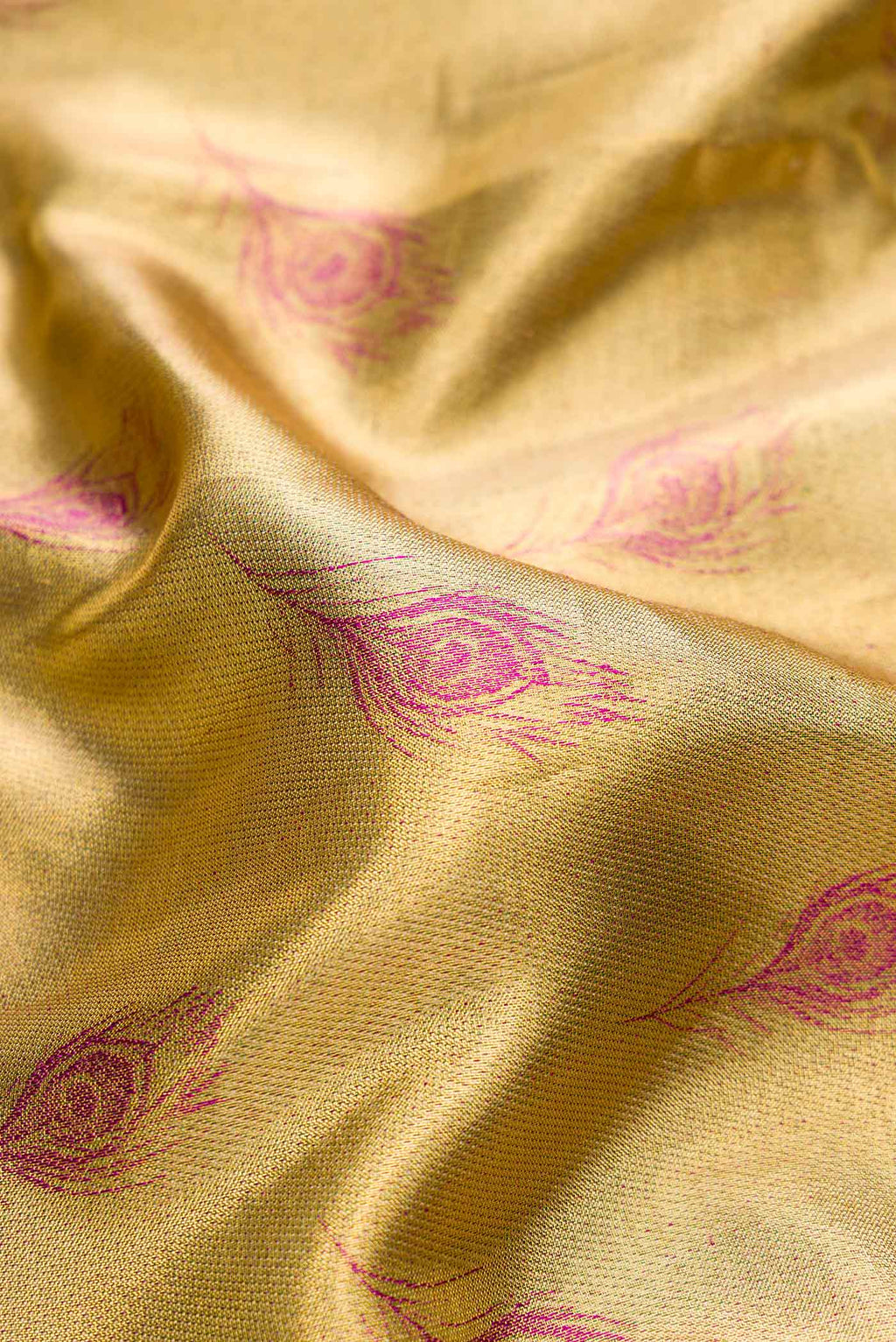 Close up of Gold Dual Tone Kanjivaram Tissue Silk Saree with Zari Brocade on the body and Fancy Border.  displaying folds