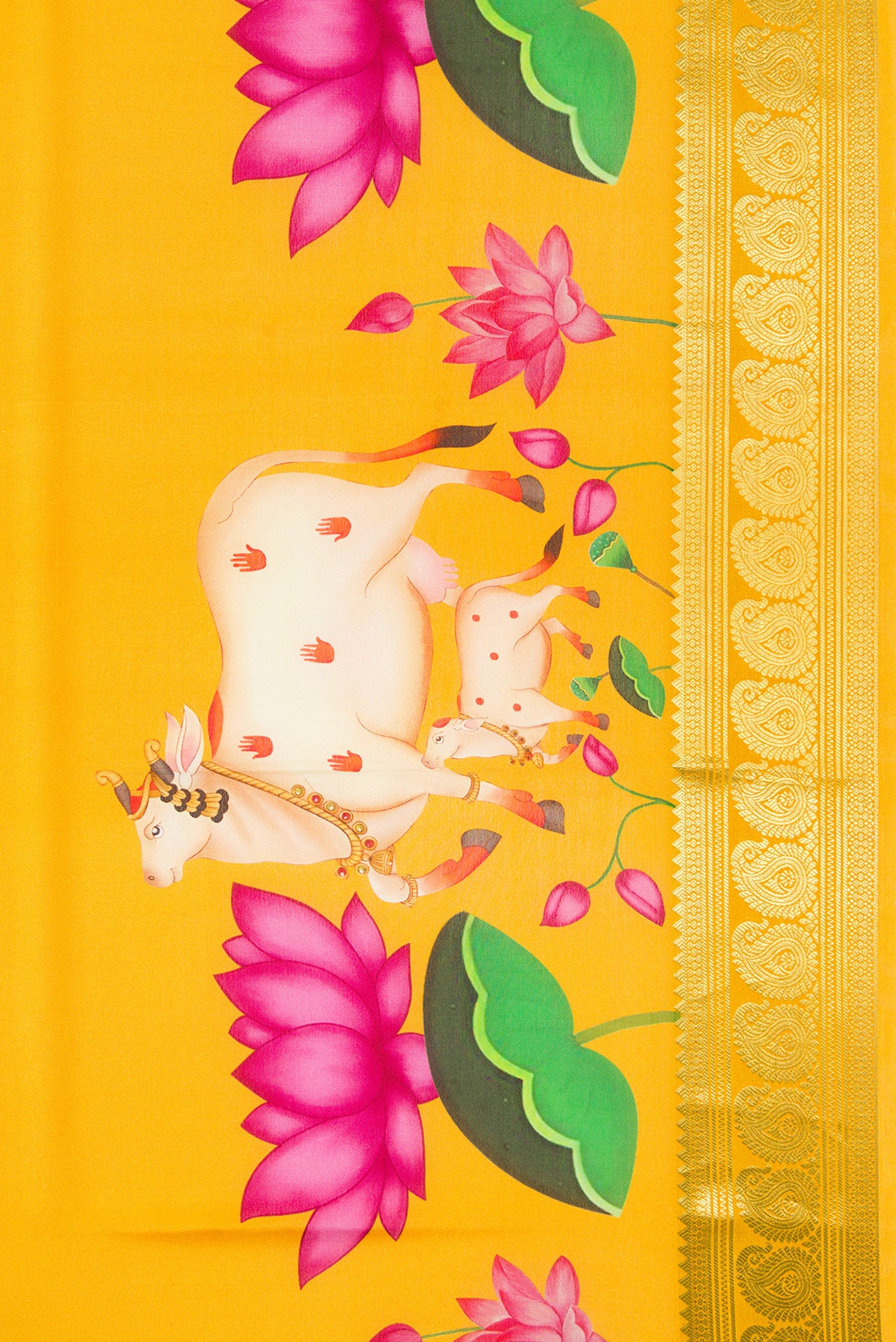 Border image of Mustard Dual Tone Mysore Silk Saree with Plain Body and Fancy Border. 