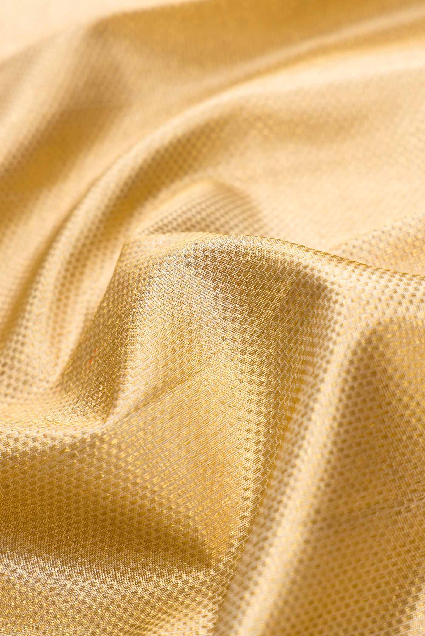 Close up of Pure Silk Pure Zari Gold Dual Tone Kanjivaram Tissue Saree with Zari Brocade on the body and Zari Border.  displaying folds