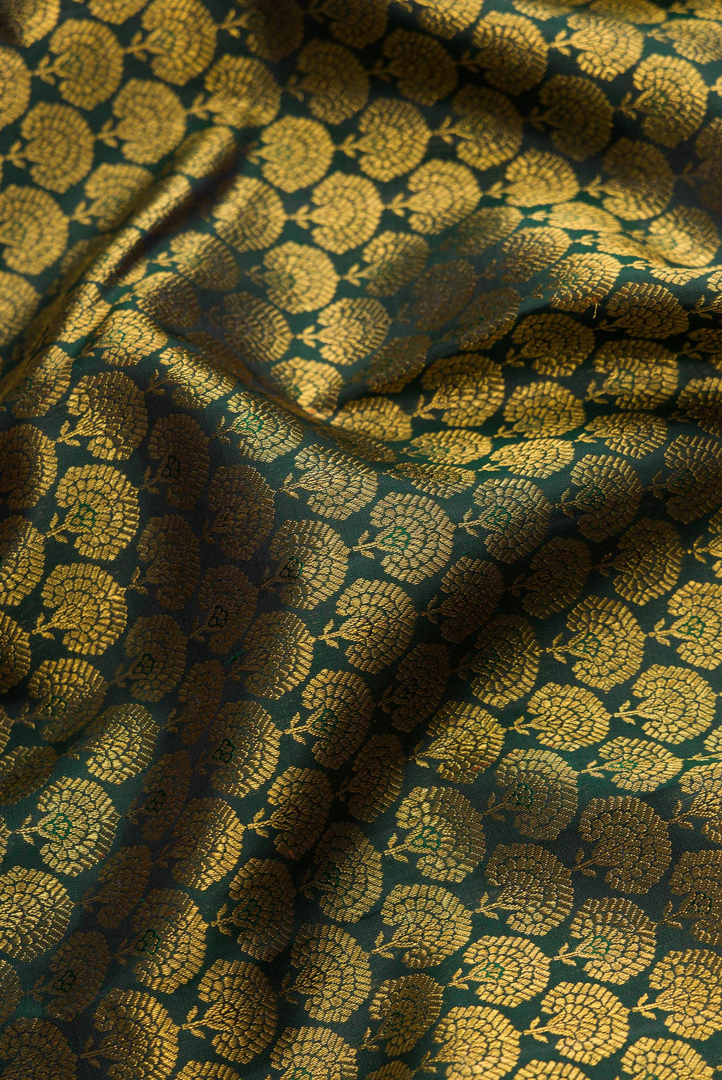 Close up of Bottle Green Dual Tone Kanjivaram Silk Saree with Zari Brocade on the body and Zari Border.  displaying folds