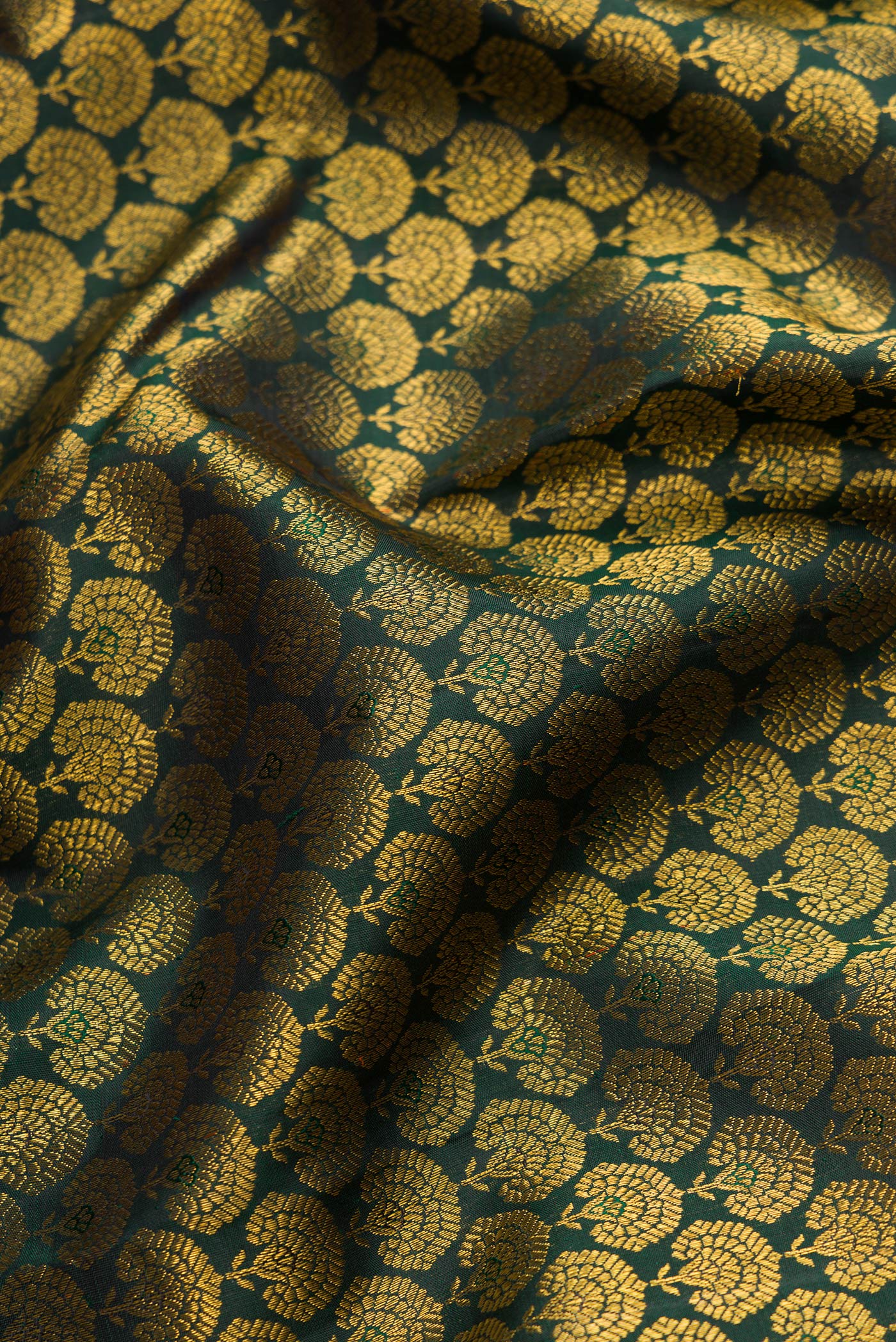Close up of Bottle Green Dual Tone Kanjivaram Silk Saree with Zari Brocade on the body and Zari Border.  displaying folds