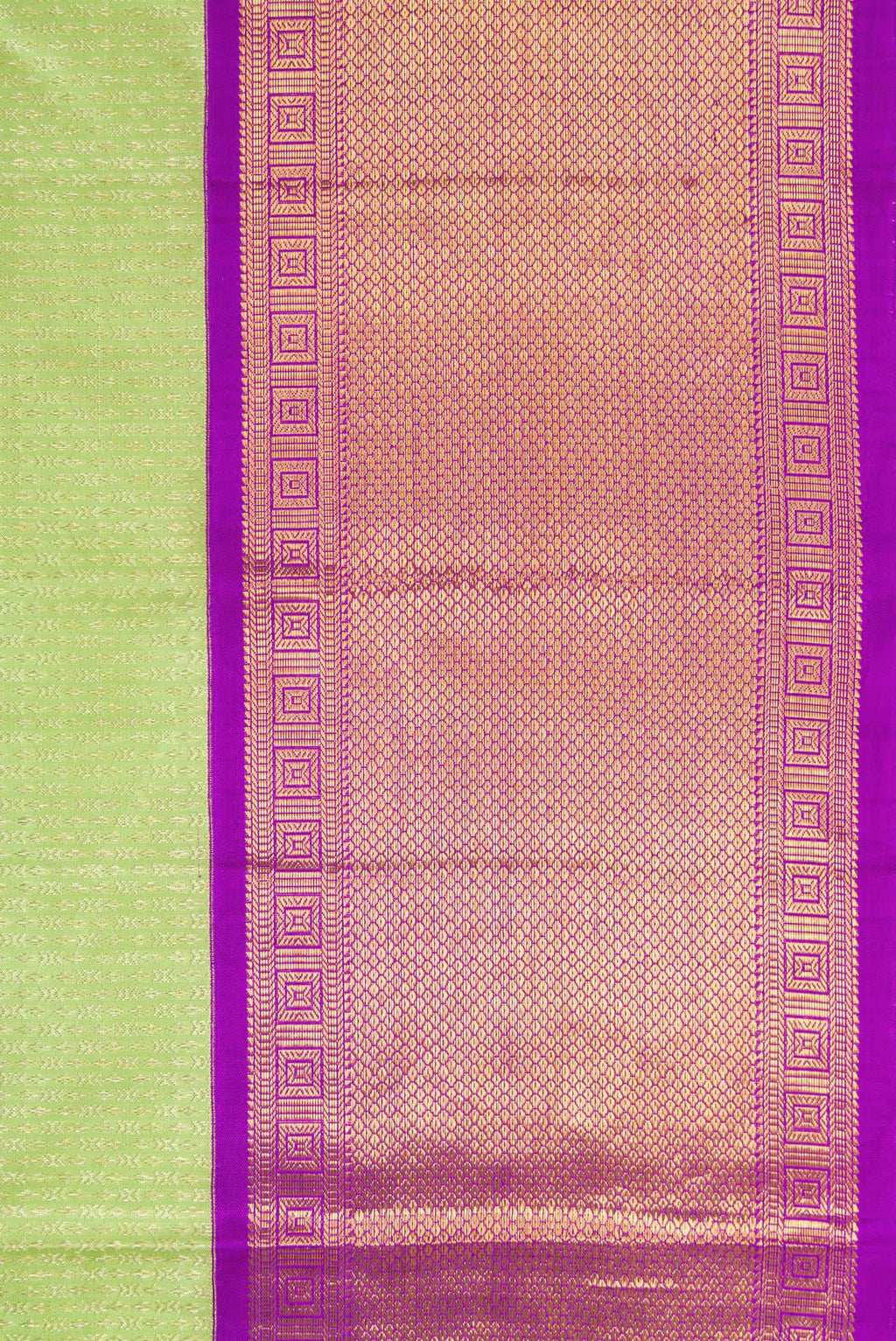 Border image of Pista Green Dual Tone Kanjivaram Silk Saree with Zari Brocade on the body and Zari Border. 