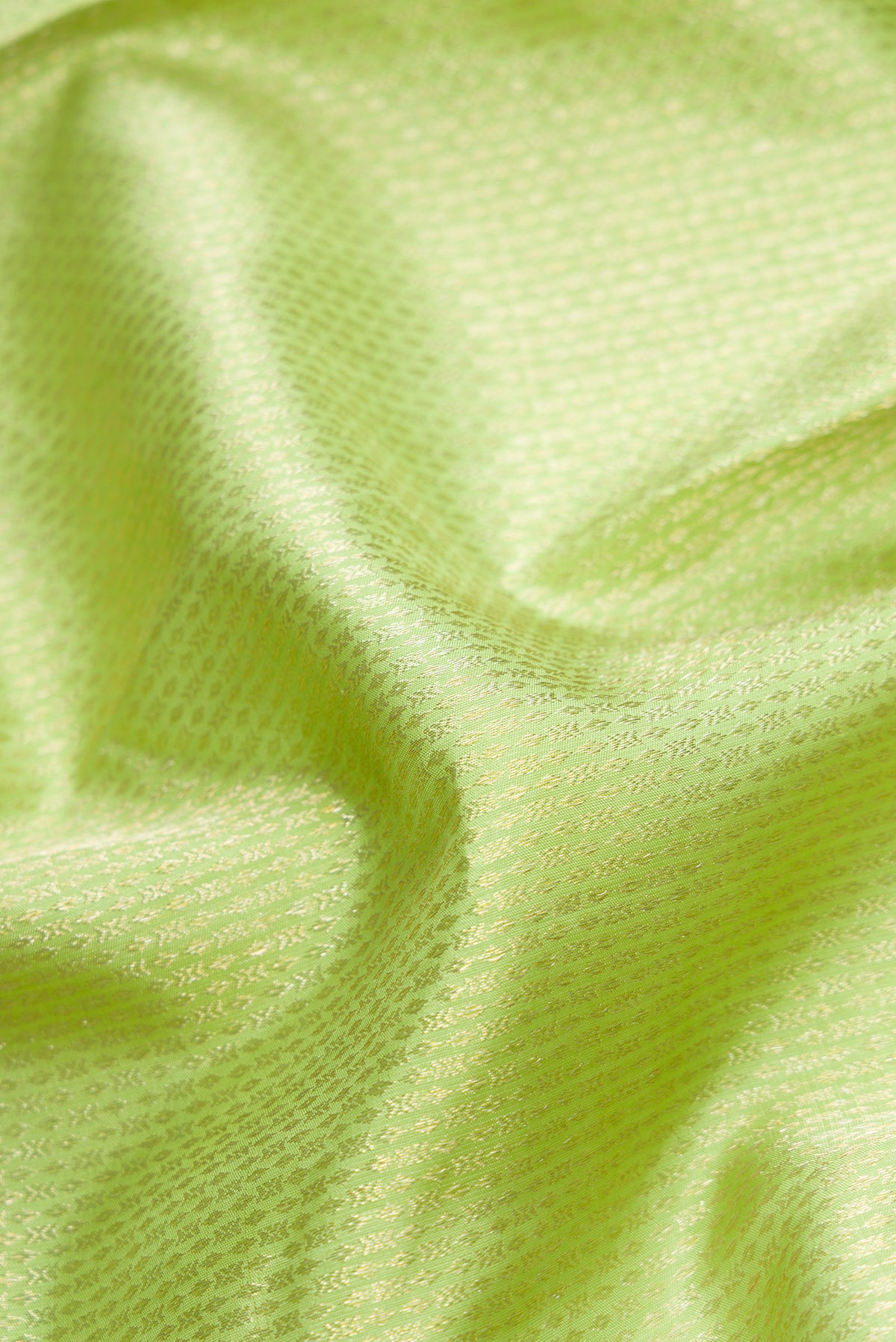 Close up of Pista Green Dual Tone Kanjivaram Silk Saree with Zari Brocade on the body and Zari Border.  displaying folds
