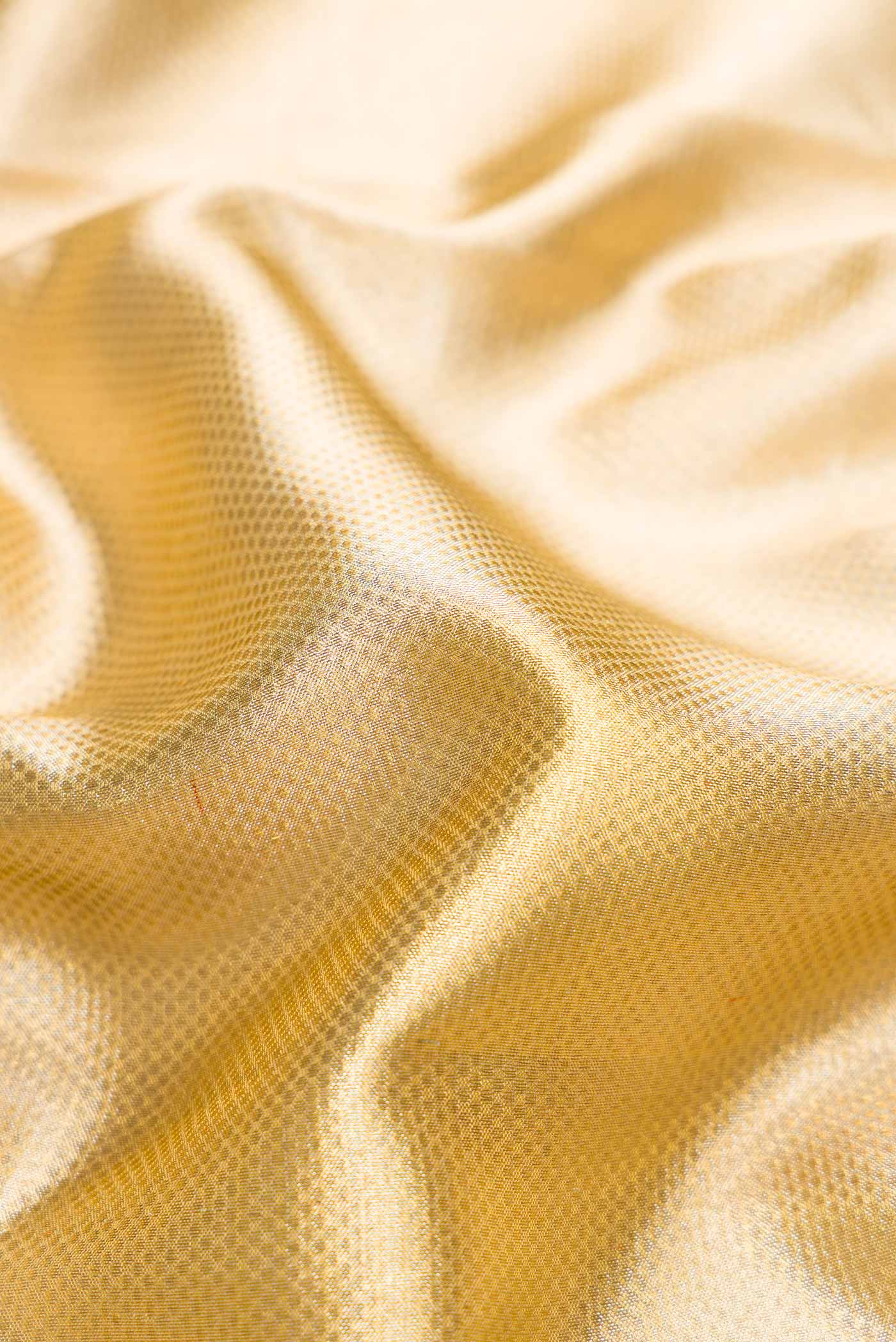 Close up of Gold Dual Tone Kanjivaram Tissue Silk Saree with Zari Brocade on the body and Zari Border.  displaying folds