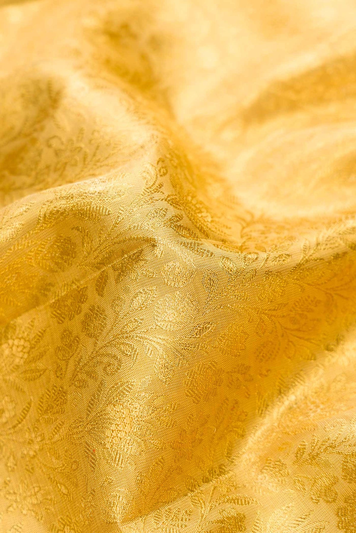Close up of Pure Silk Pure Zari Gold Dual Tone Kanjivaram Tissue Saree with Zari Brocade on the body and Zari Border.  displaying folds