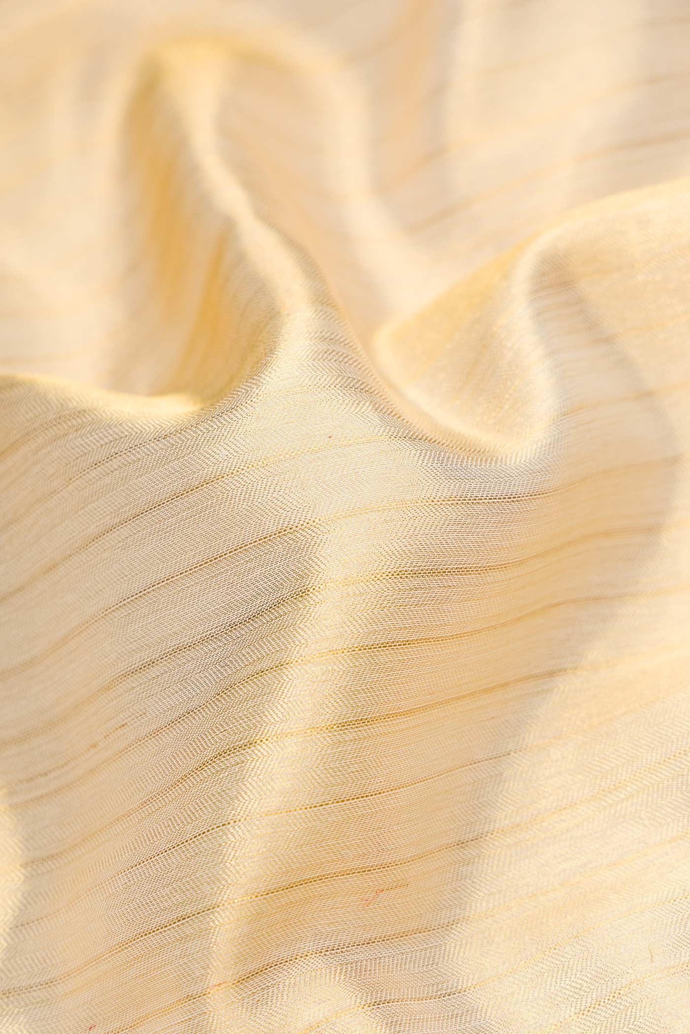Close up of Gold Dual Tone Kanjivaram Tissue Silk Saree with Zari Brocade on the body and Zari And Thread Border.  displaying folds