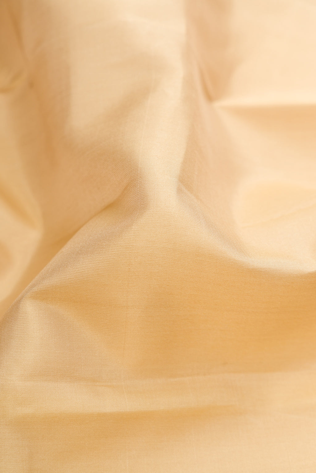 Close up of Dark Beige Kanjivaram Silk Saree with Plain Body and Thread Border.  displaying folds