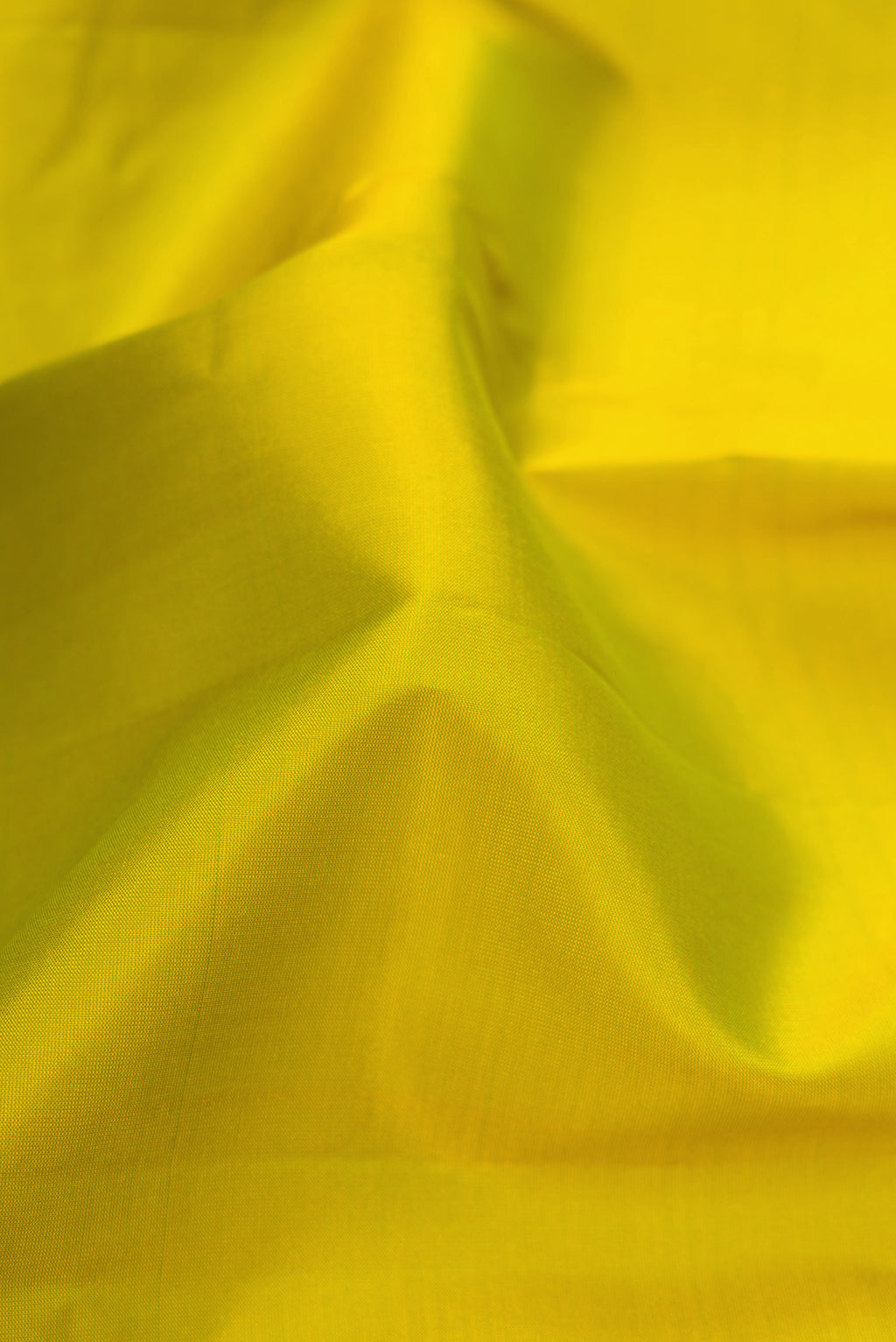 Close up of Parrot Green Dual Tone Soft Silk Saree with Thread Butta on the body and Fancy Border.  displaying folds