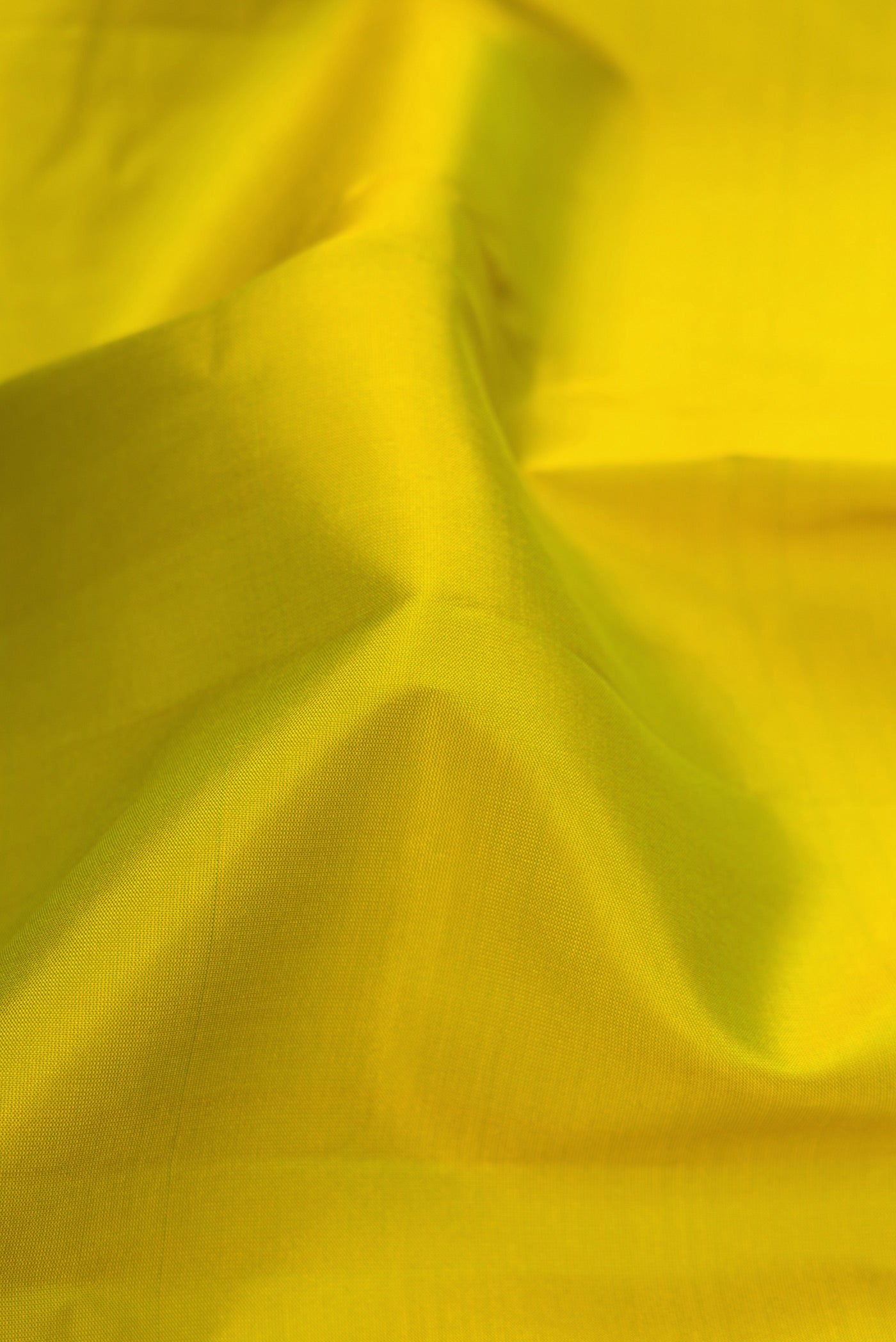 Close up of Parrot Green Dual Tone Soft Silk Saree with Thread Butta on the body and Fancy Border.  displaying folds