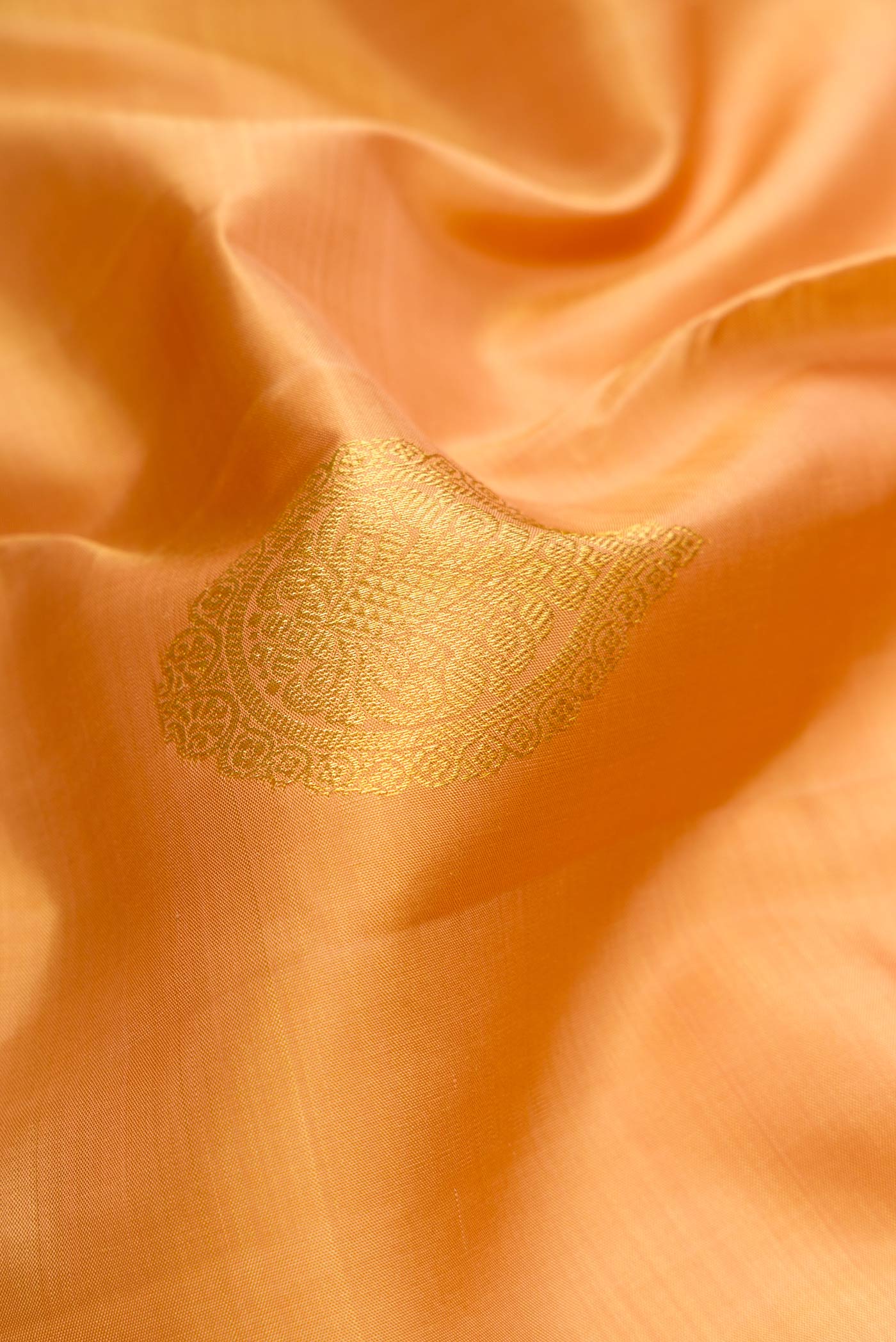 Close up of Sandal Dual Tone Kanjivaram Silk Saree with Zari Butta on the body and Zari Border.  displaying folds