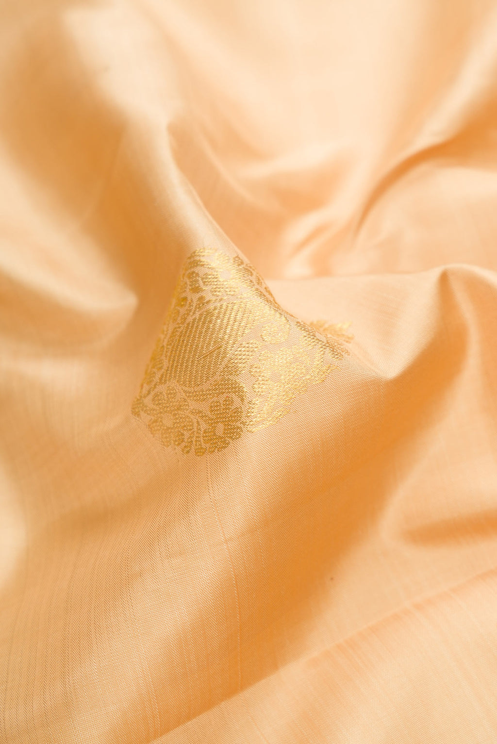 Close up of Beige Dual Tone Kanjivaram Silk Saree with Zari Butta on the body and Zari Border.  displaying folds