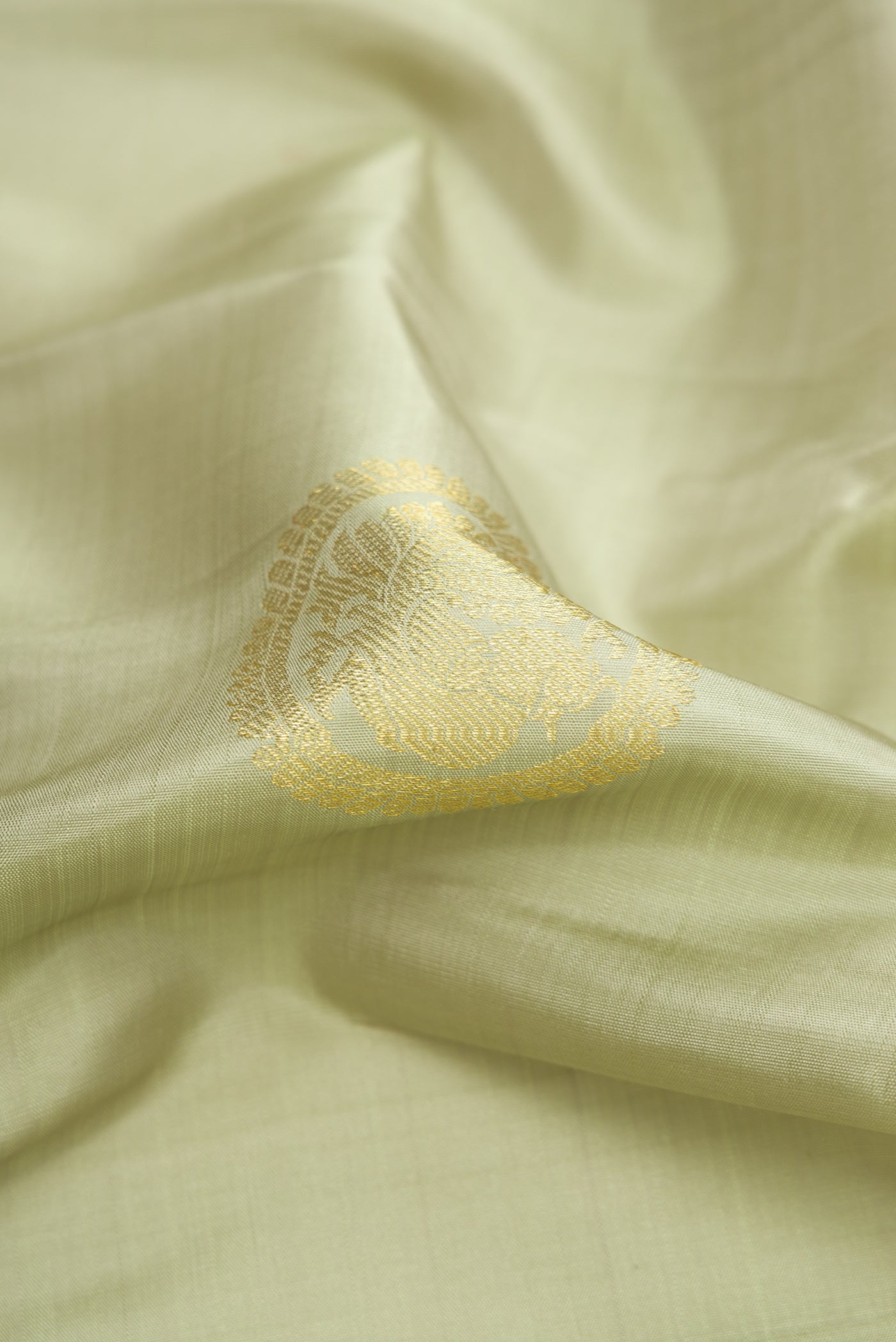 Close up of Pista Green Dual Tone Kanjivaram Silk Saree with Zari Butta on the body and Zari Border.  displaying folds