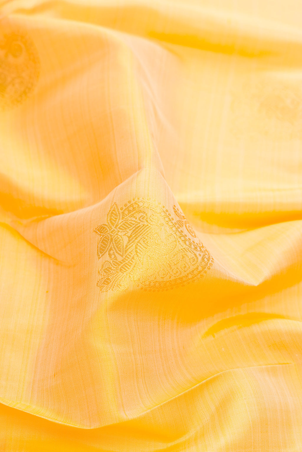 Close up of Sandal Dual Tone Kanjivaram Silk Saree with Zari Butta on the body and Zari Border.  displaying folds