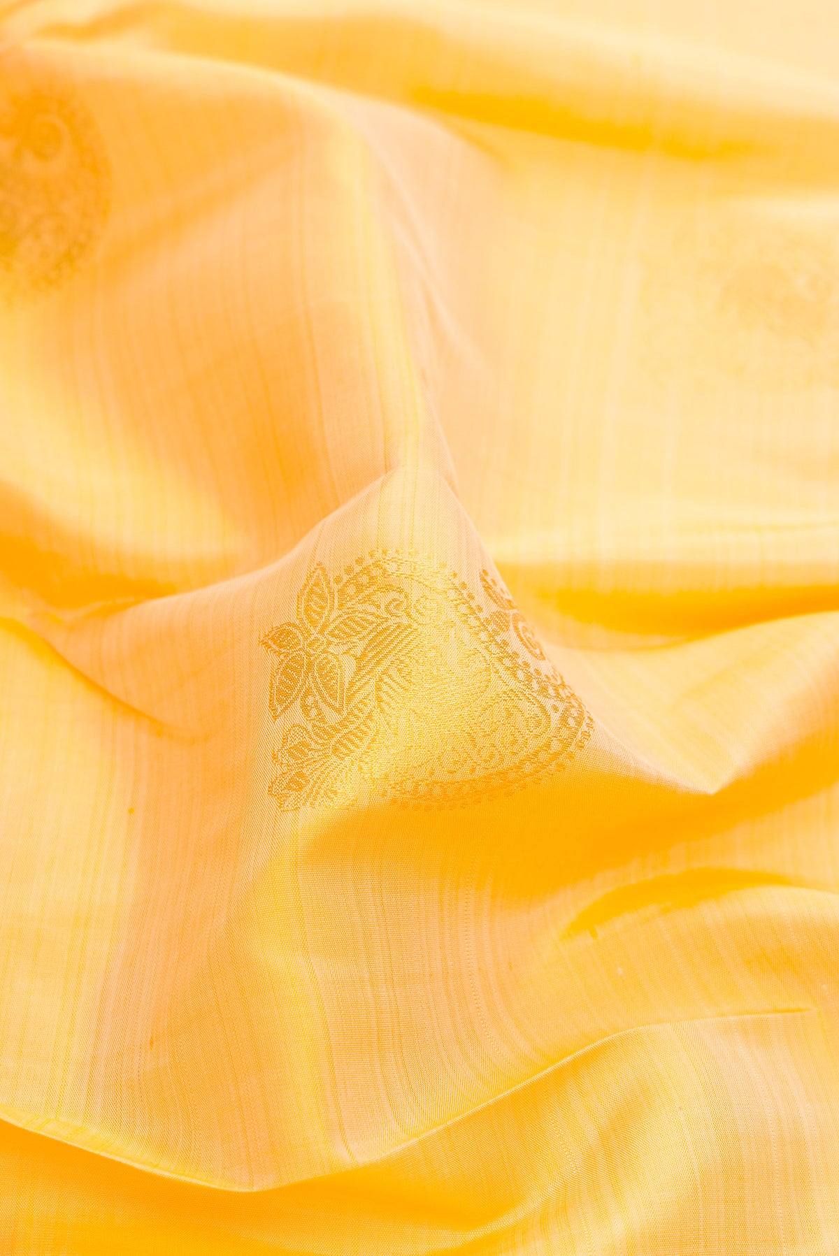 Close up of Sandal Dual Tone Kanjivaram Silk Saree with Zari Butta on the body and Zari Border.  displaying folds
