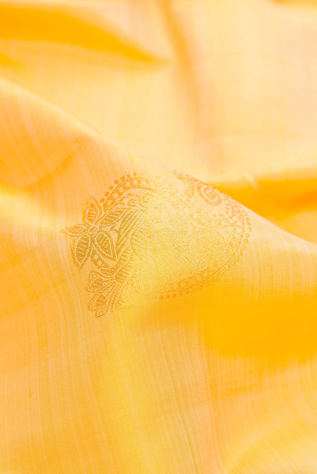 Close up of Sandal Dual Tone Kanjivaram Silk Saree with Zari Butta on the body and Zari Border.  displaying folds
