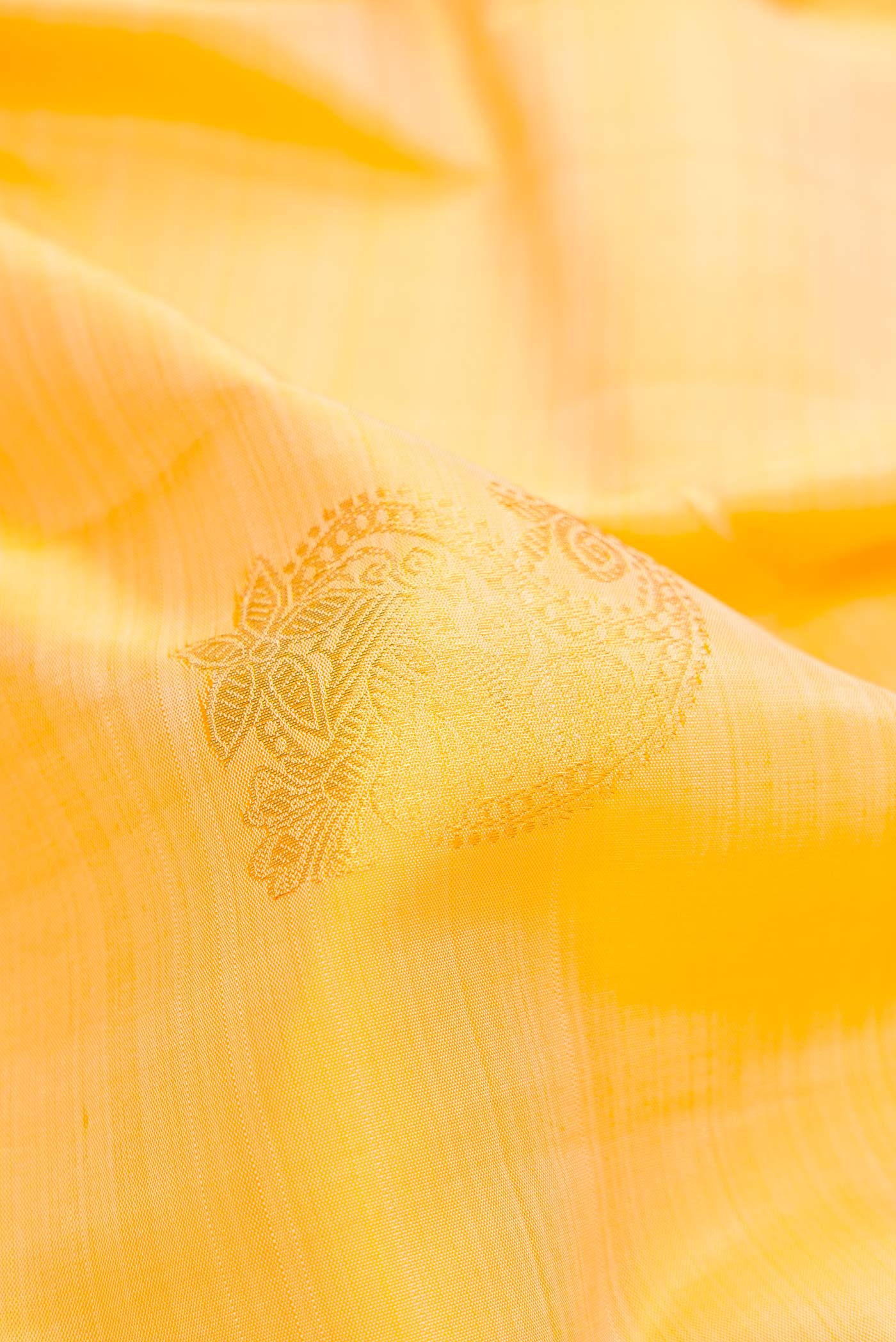 Close up of Sandal Dual Tone Kanjivaram Silk Saree with Zari Butta on the body and Zari Border.  displaying folds